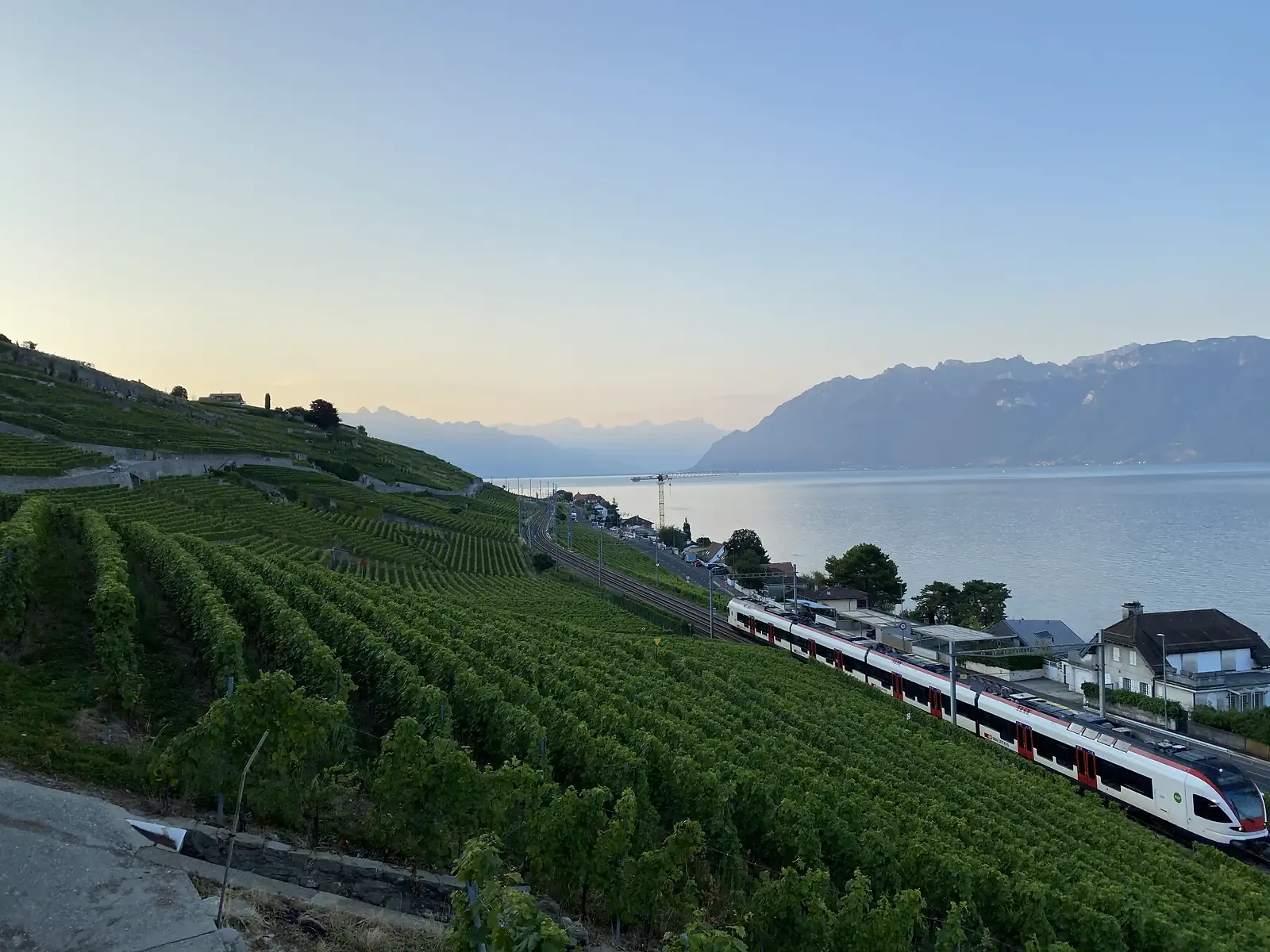 A red-and-white train running along the lakeside tracks through the Lavaux vineyard terraces above Lake Geneva at dusk.