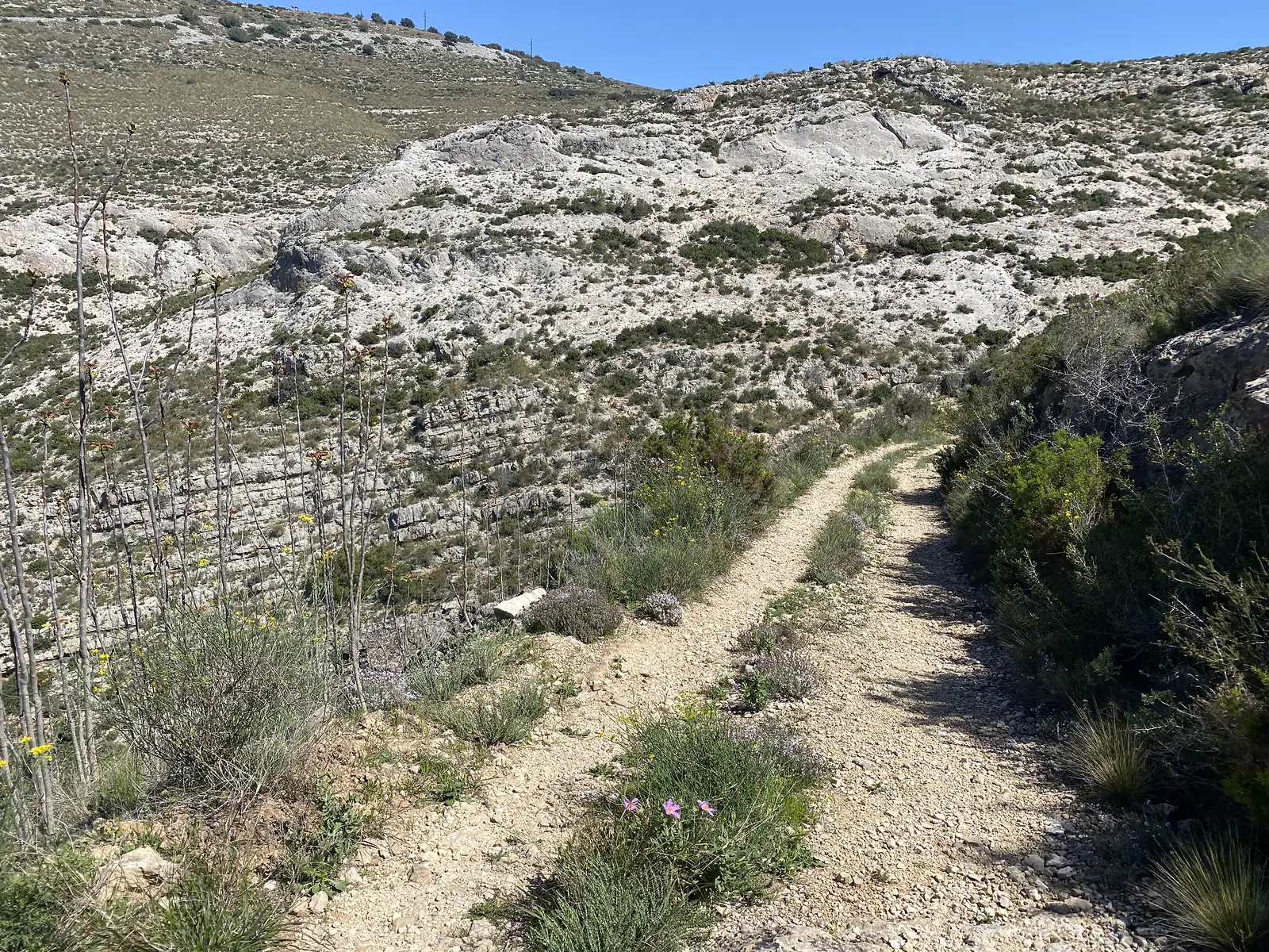 A stony track curving along a bare limestone hillside dotted with scrub and dried agave stalks.