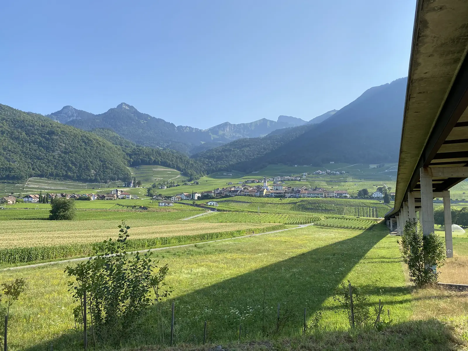 A wide valley of vineyards and orchards leads to a village clustered around a church spire, framed by mountains and the underside of a concrete viaduct on the right.