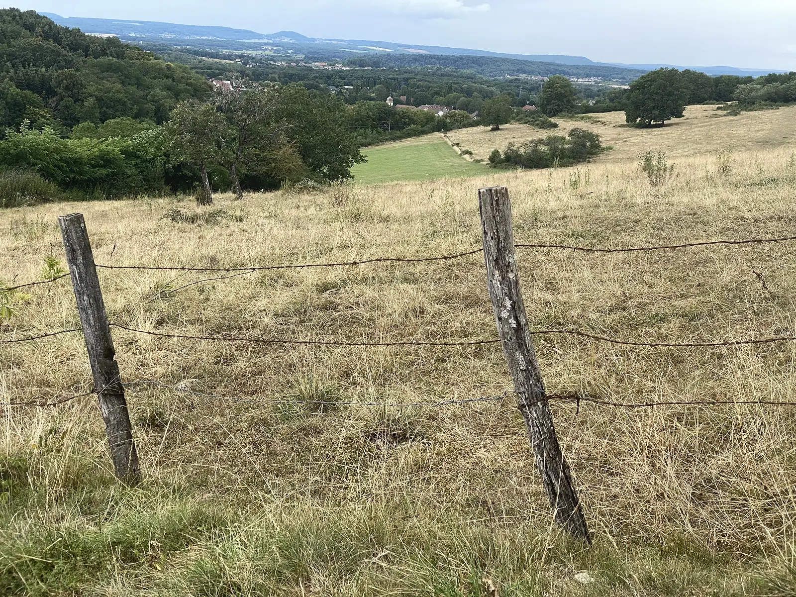 Weathered fence posts stand in a dry hillside pasture overlooking a wooded valley and a village with hills rising beyond towards Besançon.