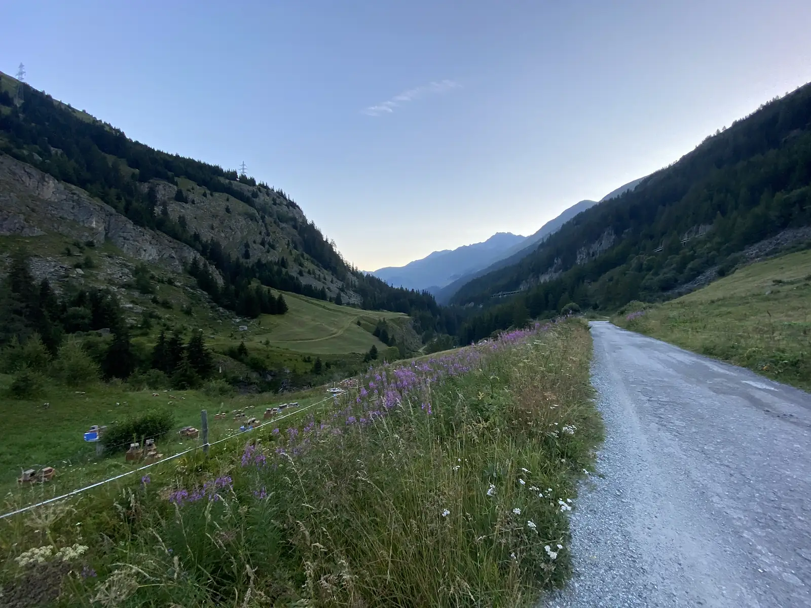 A gravel road curves through a green mountain valley bordered by flowering fireweed, with a distant viaduct and hazy peaks ahead.