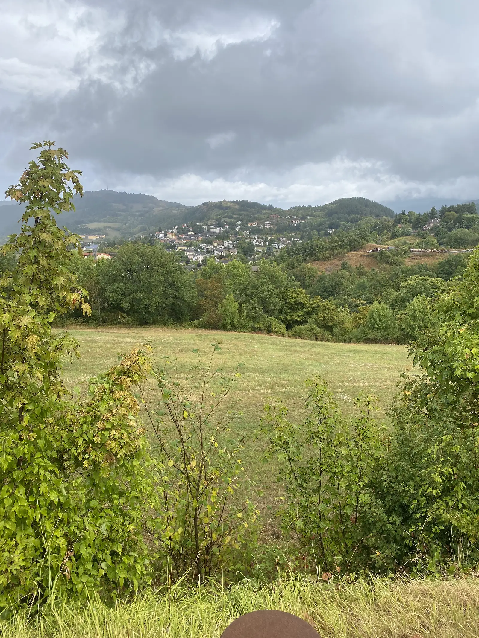 A grassy hilltop pasture edged with young trees looks out towards a village scattered across a wooded hillside beneath a cloudy sky.