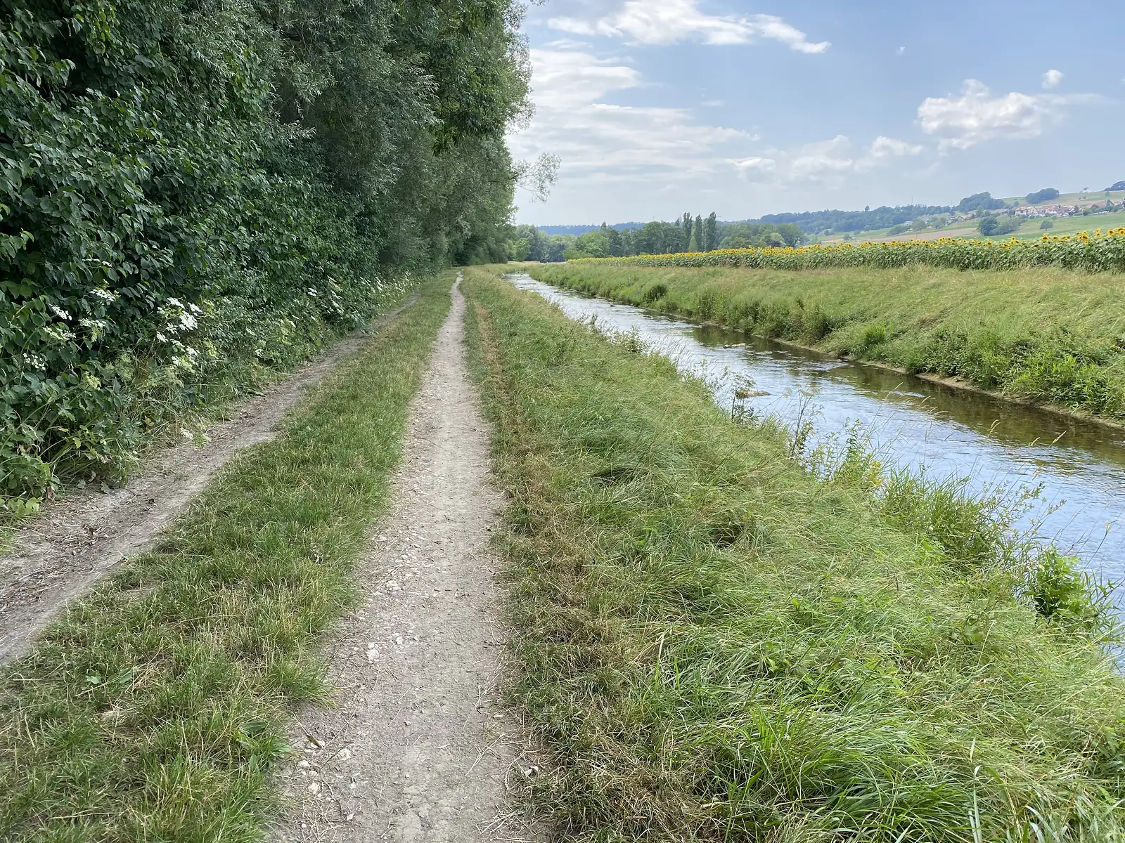 A gravel path running alongside a straight canal, with sunflower fields ripening beyond the far bank.
