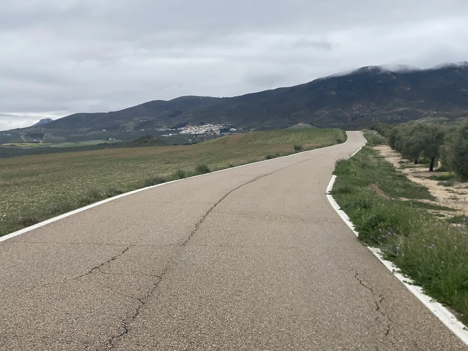 An empty asphalt lane curving through fields and olive groves towards a white village below cloud-covered mountains.