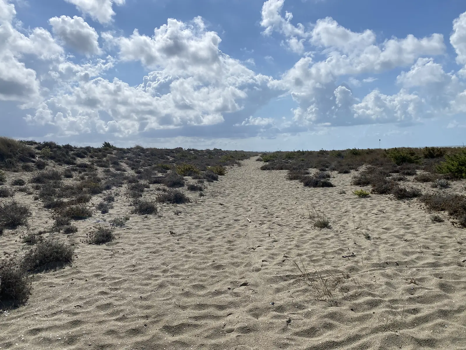 A sandy path cutting through low dune scrub towards the sea, footprints scattered across the sand.
