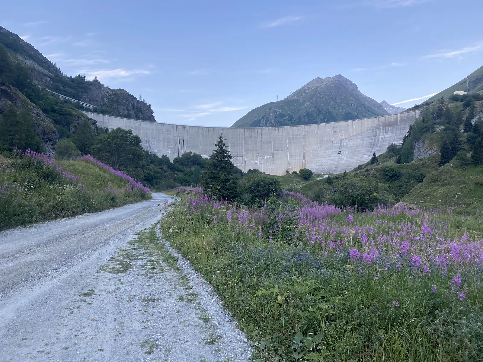 A tall concrete dam wall rises above a gravel access road lined with purple fireweed, a bare mountain peak framed behind it.