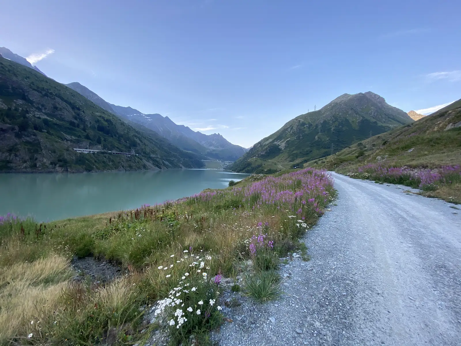 A turquoise reservoir stretches between steep mountainsides, a gravel track and wildflower verge following its near shore.