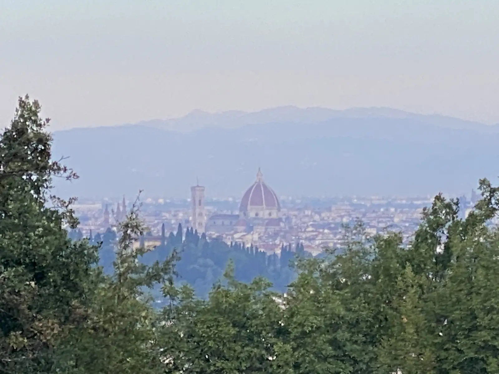 Florence's domed cathedral and bell tower rising above the hazy city, framed between trees on a hillside overlook.