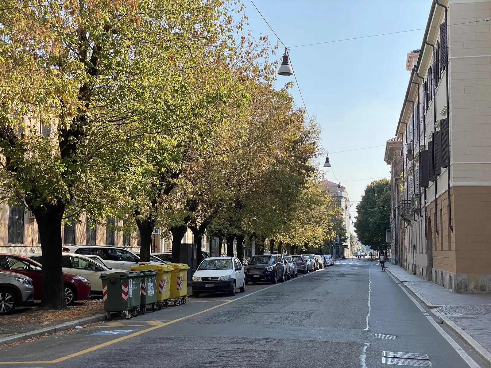 A tree-lined residential street in Vercelli, parked cars and wheelie bins along the kerb and a cyclist riding away down the avenue.