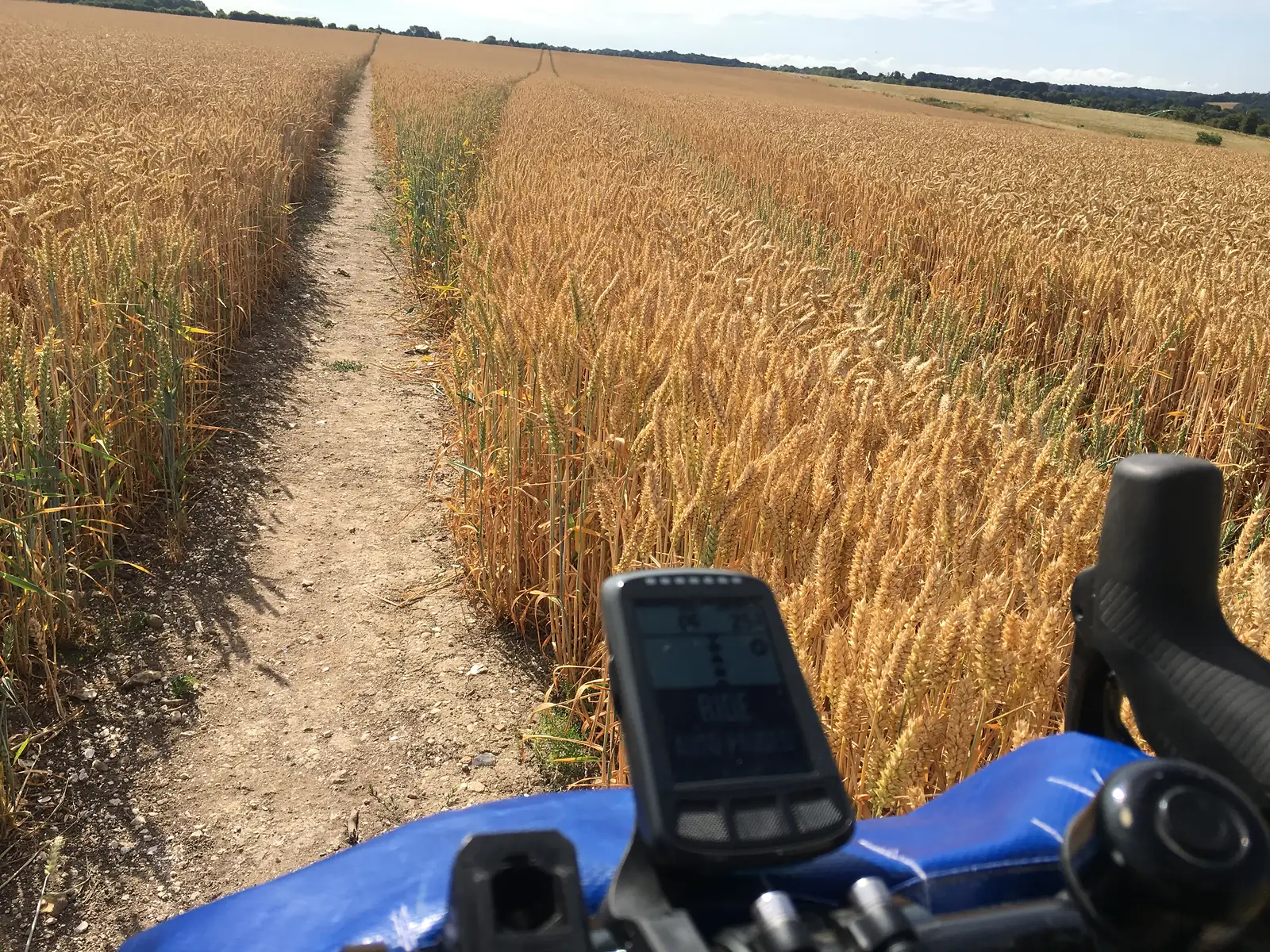 Path through a field