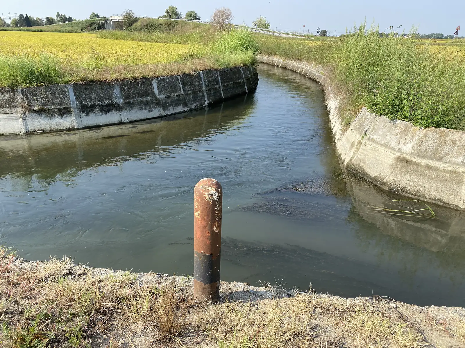 A rusted marker post beside a concrete-lined irrigation canal bending away between rice paddies, with a road bridge in the distance.