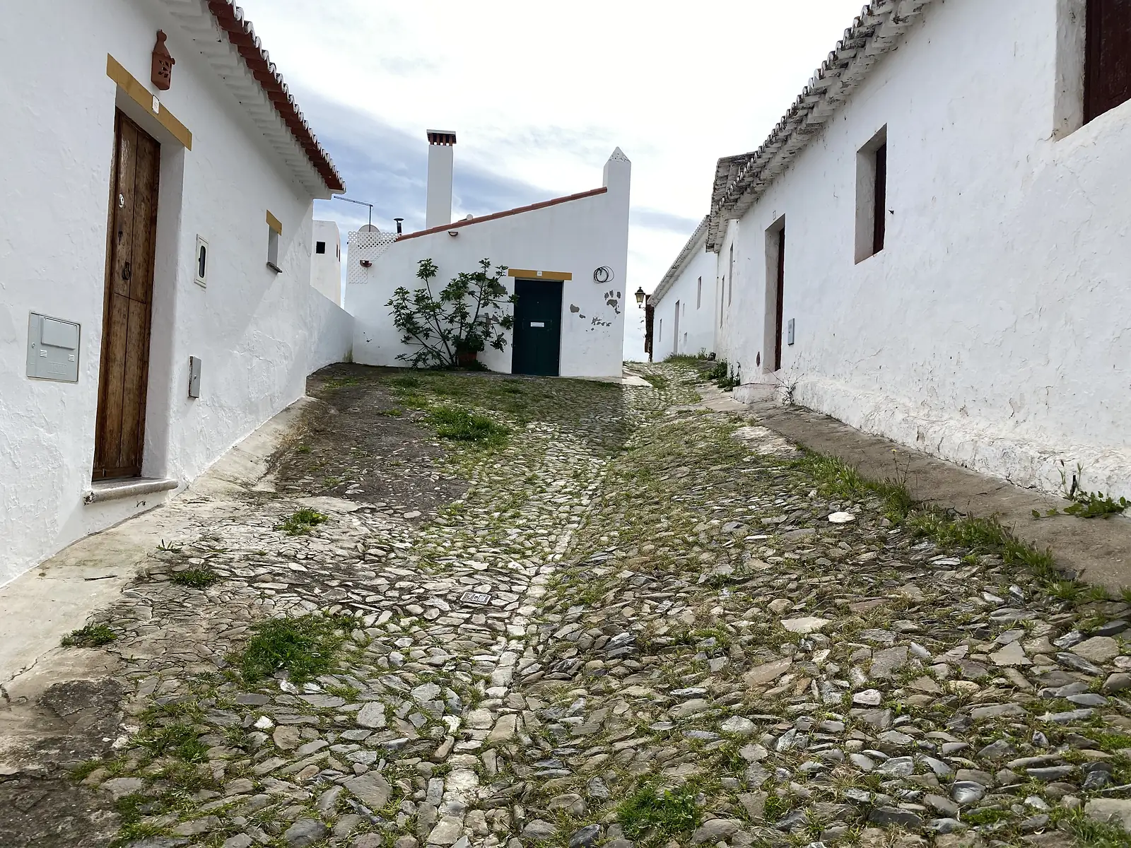 A grass-tufted cobbled lane running between whitewashed single-storey houses with pantile roofs, ending at a dark green door beside a young fig tree.