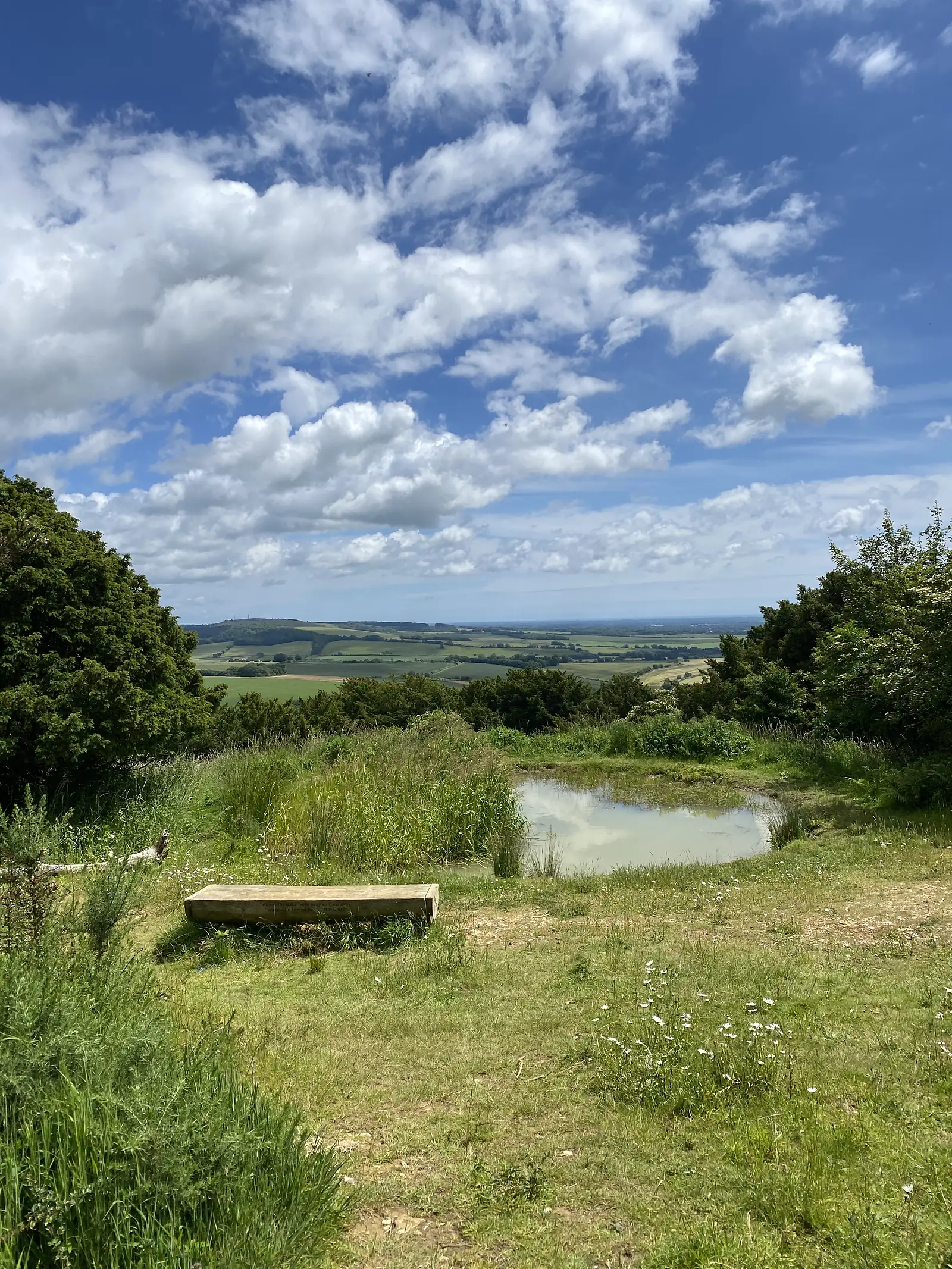 A dew pond and a split-log bench on a chalk down top, looking out over a patchwork of fields to a hazy plain.