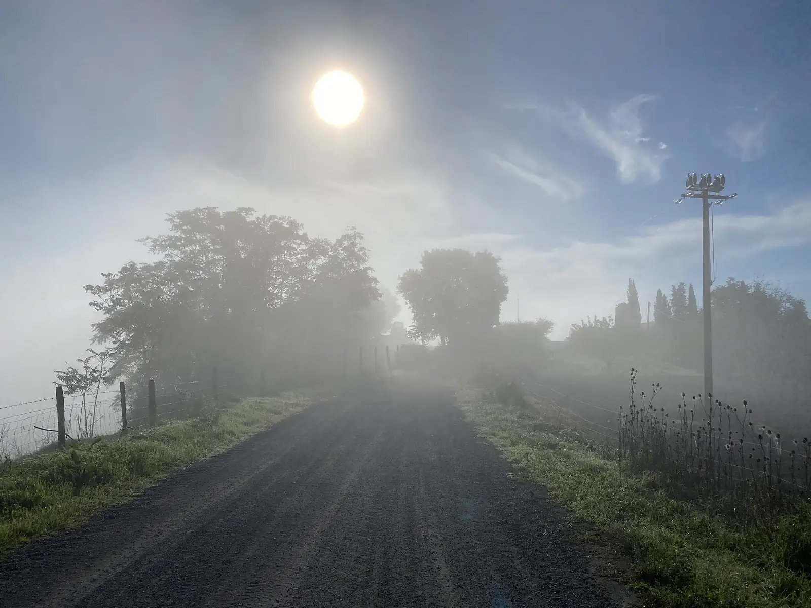 A gravel farm track runs between wire fences towards silhouetted trees fading into mist beneath a hazy morning sun.