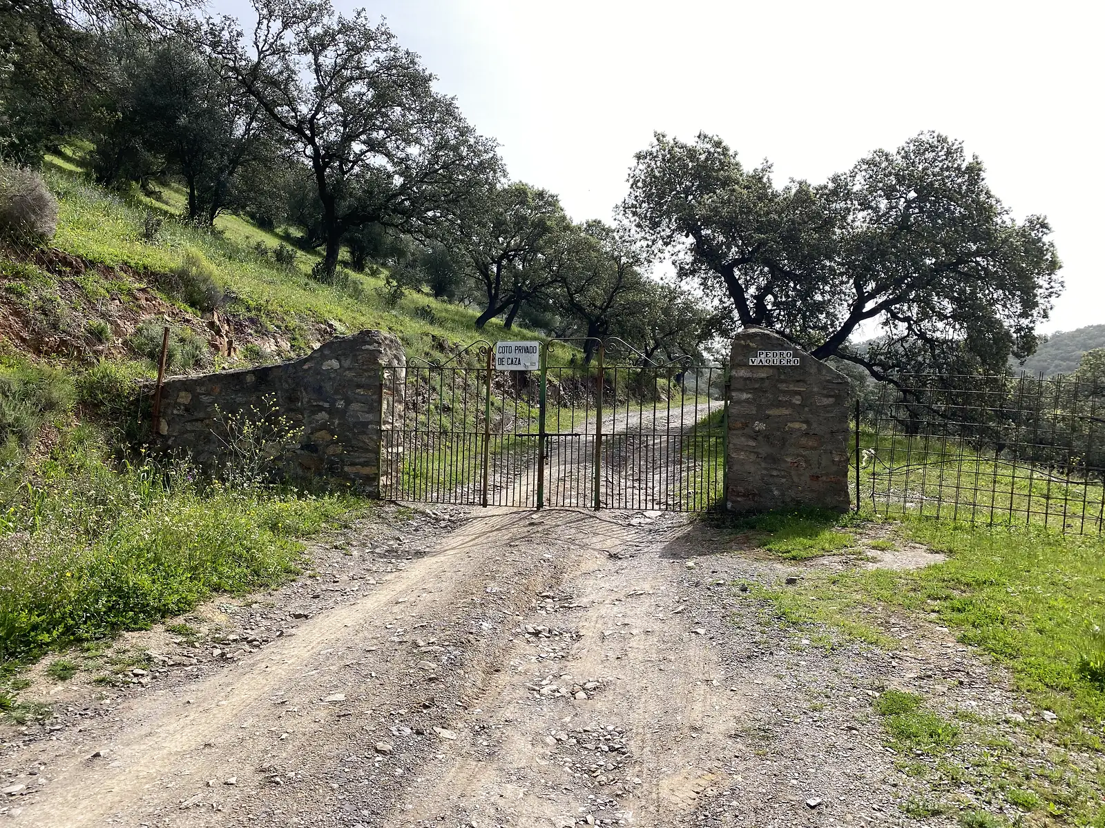 An iron gate between stone pillars barring a dirt track, hung with a sign reading "COTO PRIVADO DE CAZA", with oak-dotted hillside beyond.