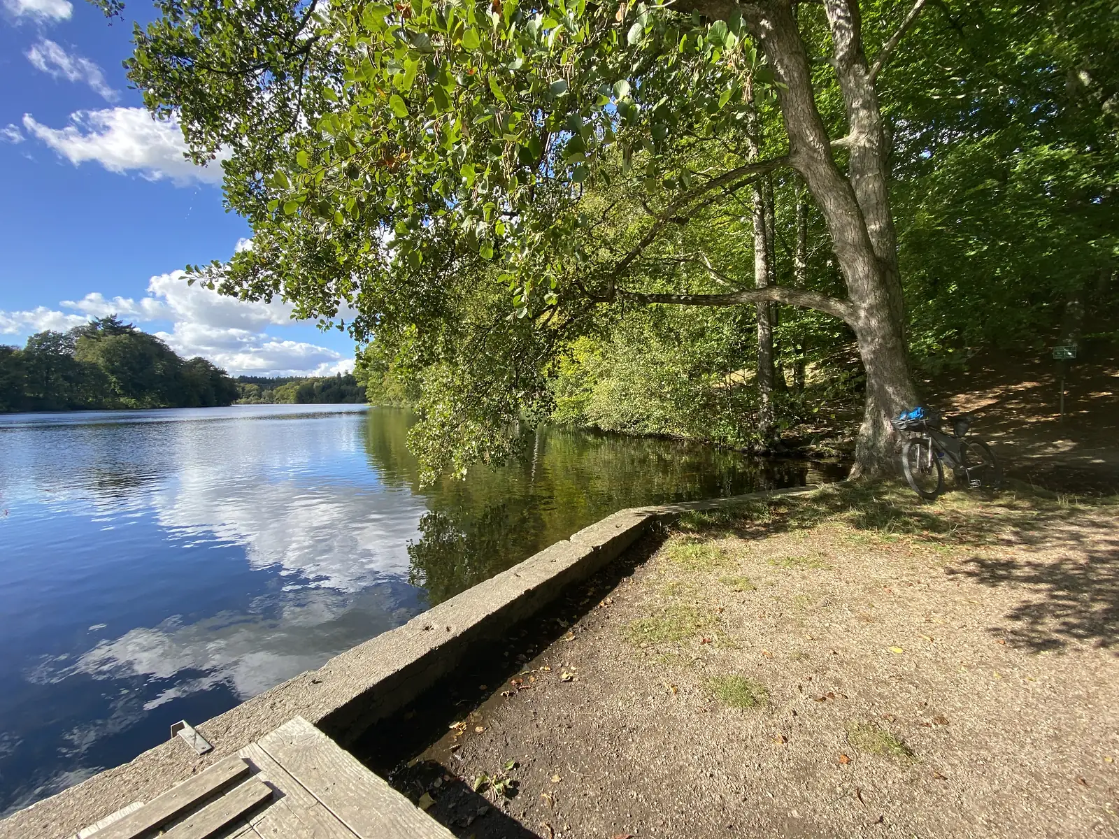A calm woodland lake with a bike propped against a big tree on the sunlit gravel shore beside a jetty.