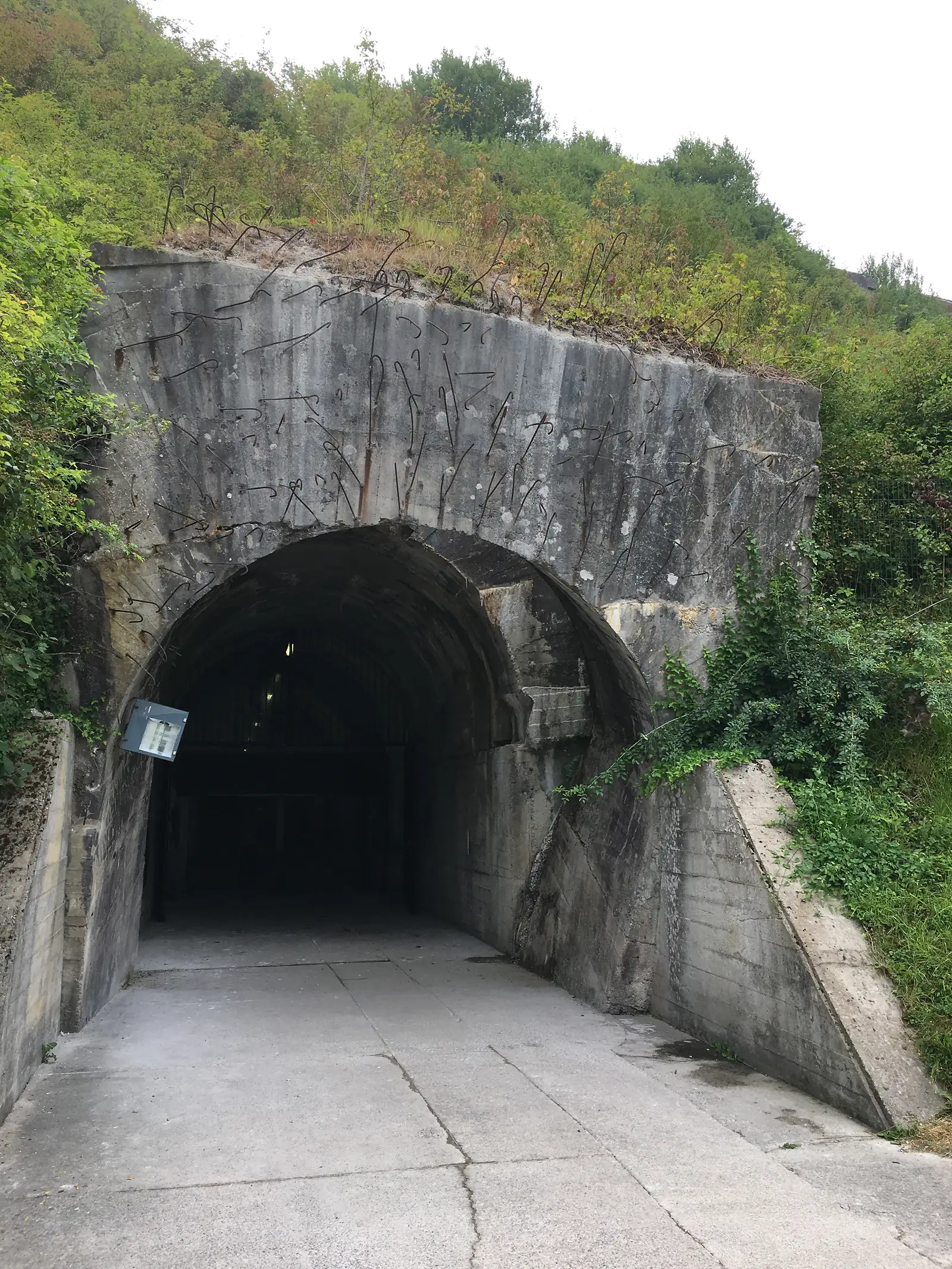 The arched concrete mouth of a wartime bunker tunnel, its edges bristling with rusted rebar hooks, set into an ivy-covered bank beside a road.