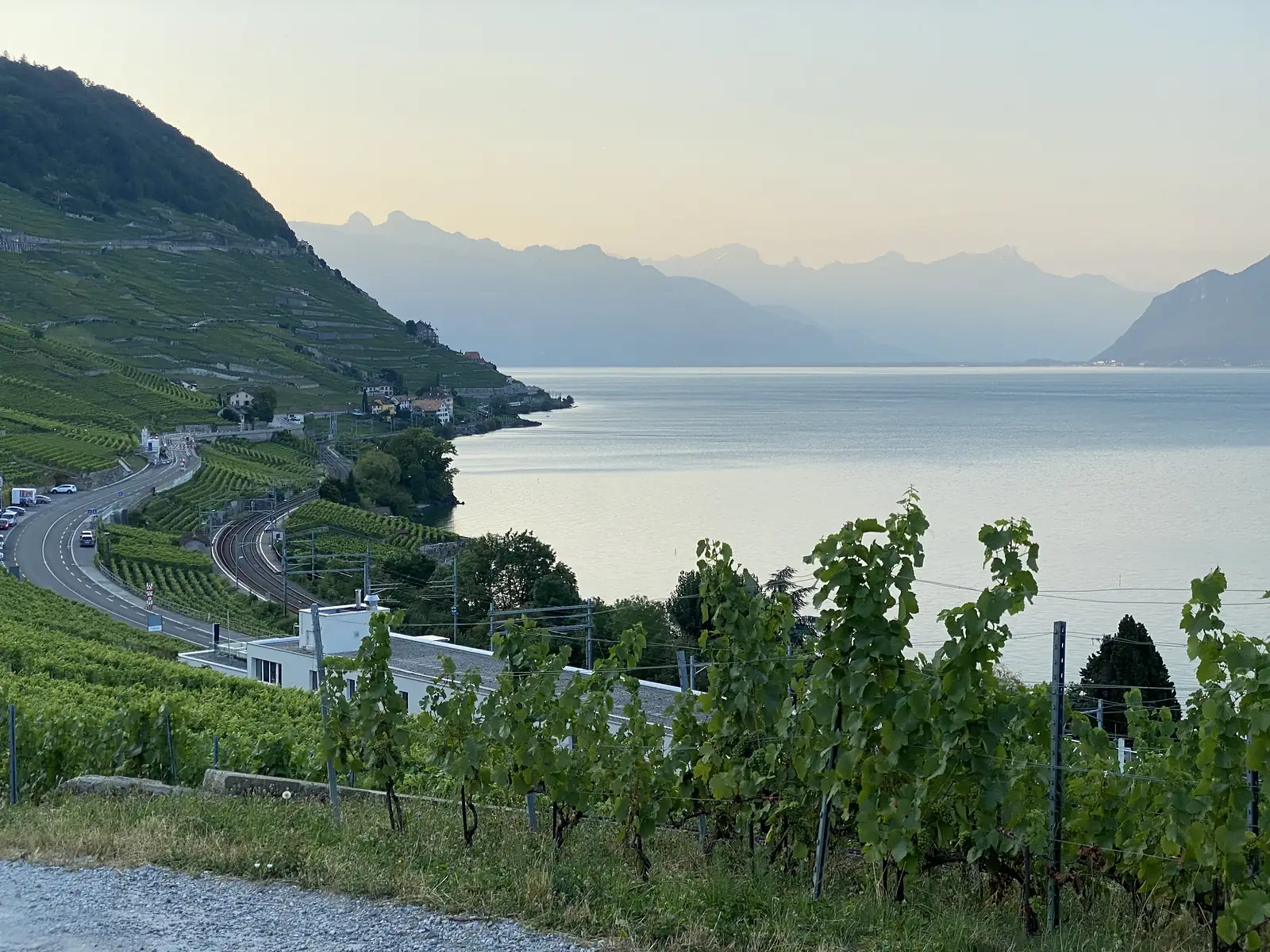 A road and railway hugging the Lavaux shoreline below terraced vineyards, with Lake Geneva curving away towards misty mountains at sunset.