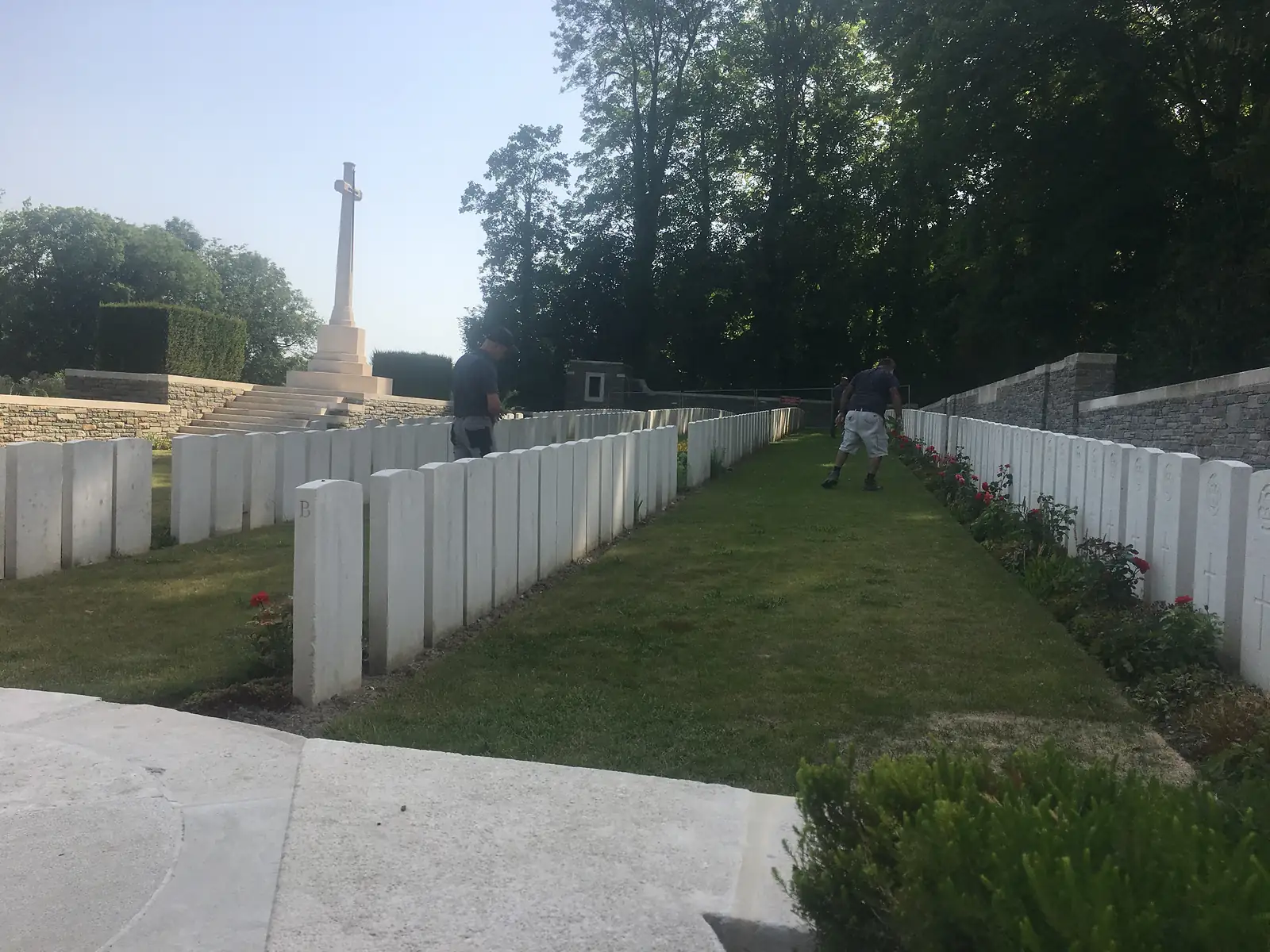 Two groundsmen tending rose beds between rows of white headstones in a war cemetery, with the Cross of Sacrifice standing at the far end.