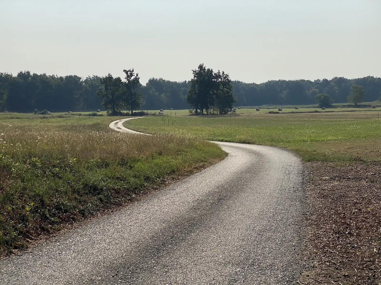 A gravel track winds between grassy meadows dotted with round hay bales, bordered by trees under a hazy sky.