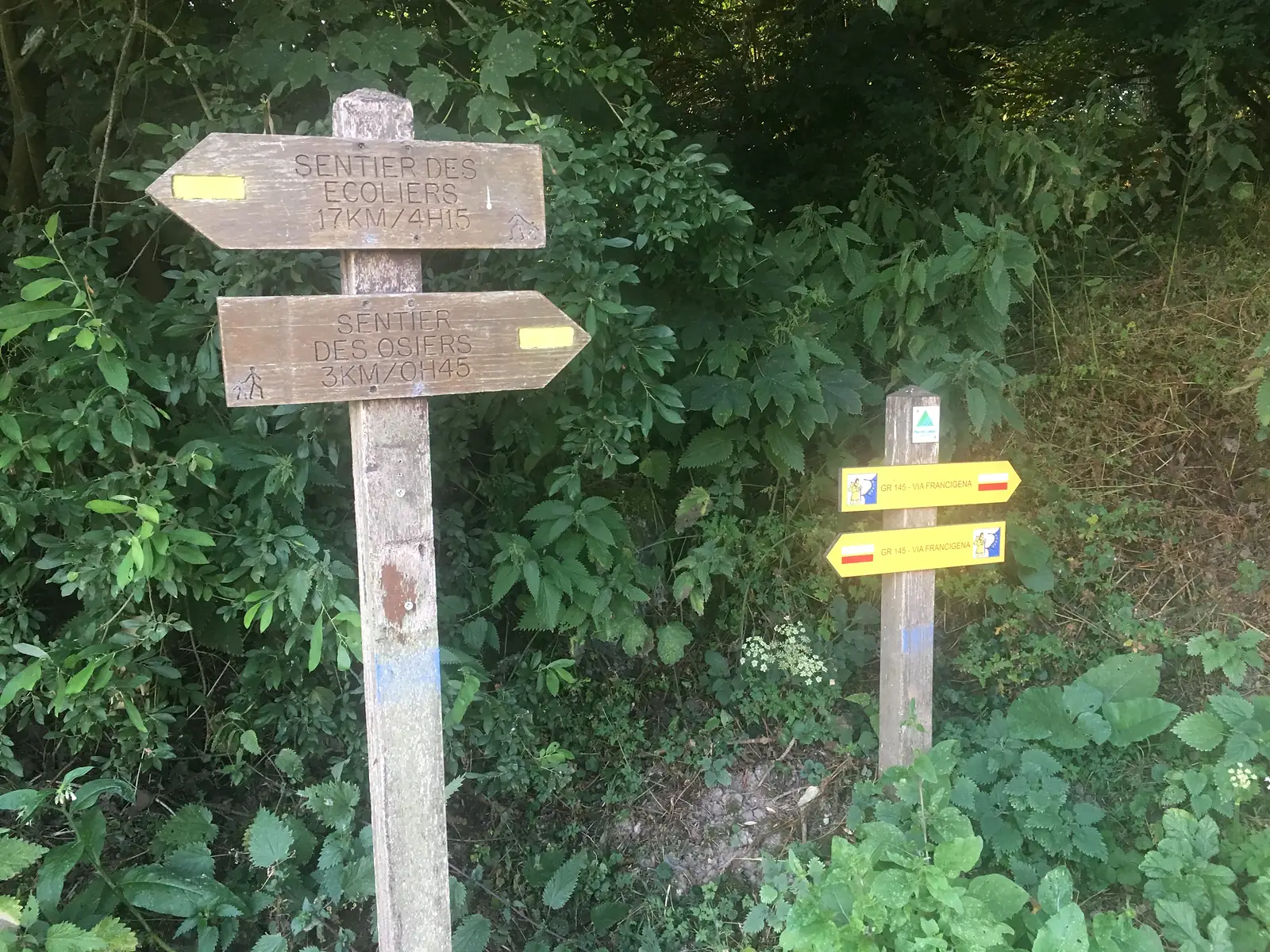 Weathered wooden signposts in a hedgerow, one reading Sentier des Ecoliers 17km/4h15 and Sentier des Osiers 3km/0h45, with a yellow Via Francigena GR145 marker on a post beside them.