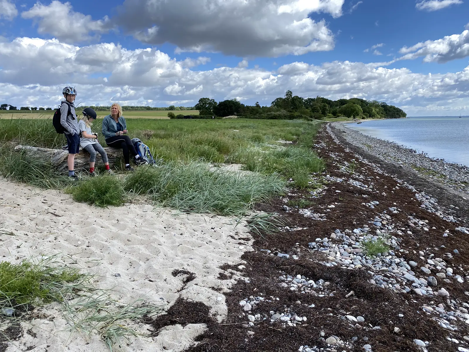 Two children in cycling helmets and an adult resting on a driftwood log at the top of a sandy beach, the stony shore curving away.