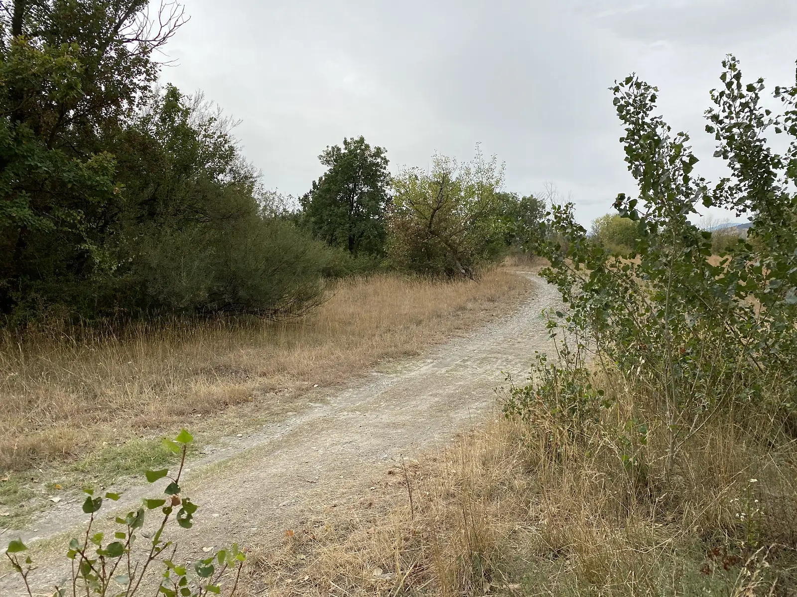 A dusty tipper lorry passing a wooden Via Francigena waymarker on a wide gravelled riverbed track lined with trees.