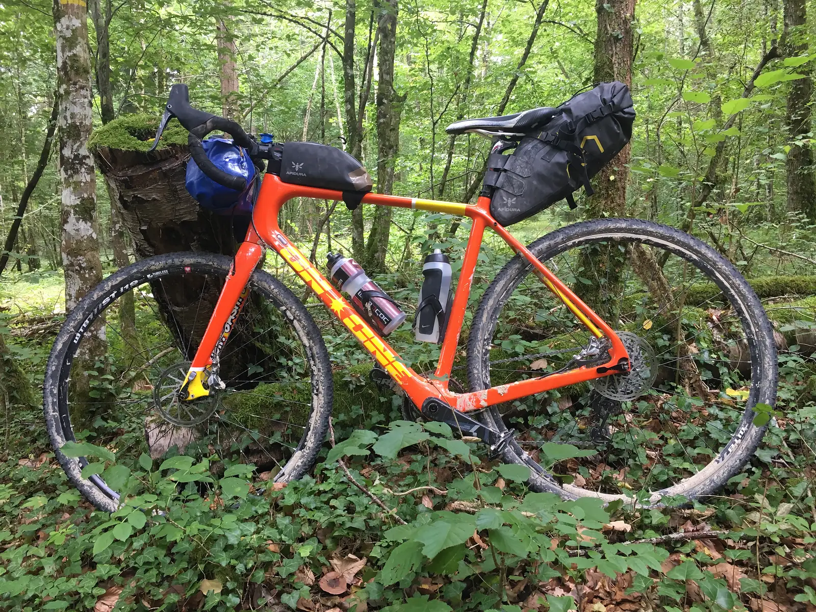 A loaded orange gravel bike with frame, handlebar and saddle bags leaning against a mossy tree stump in woodland.