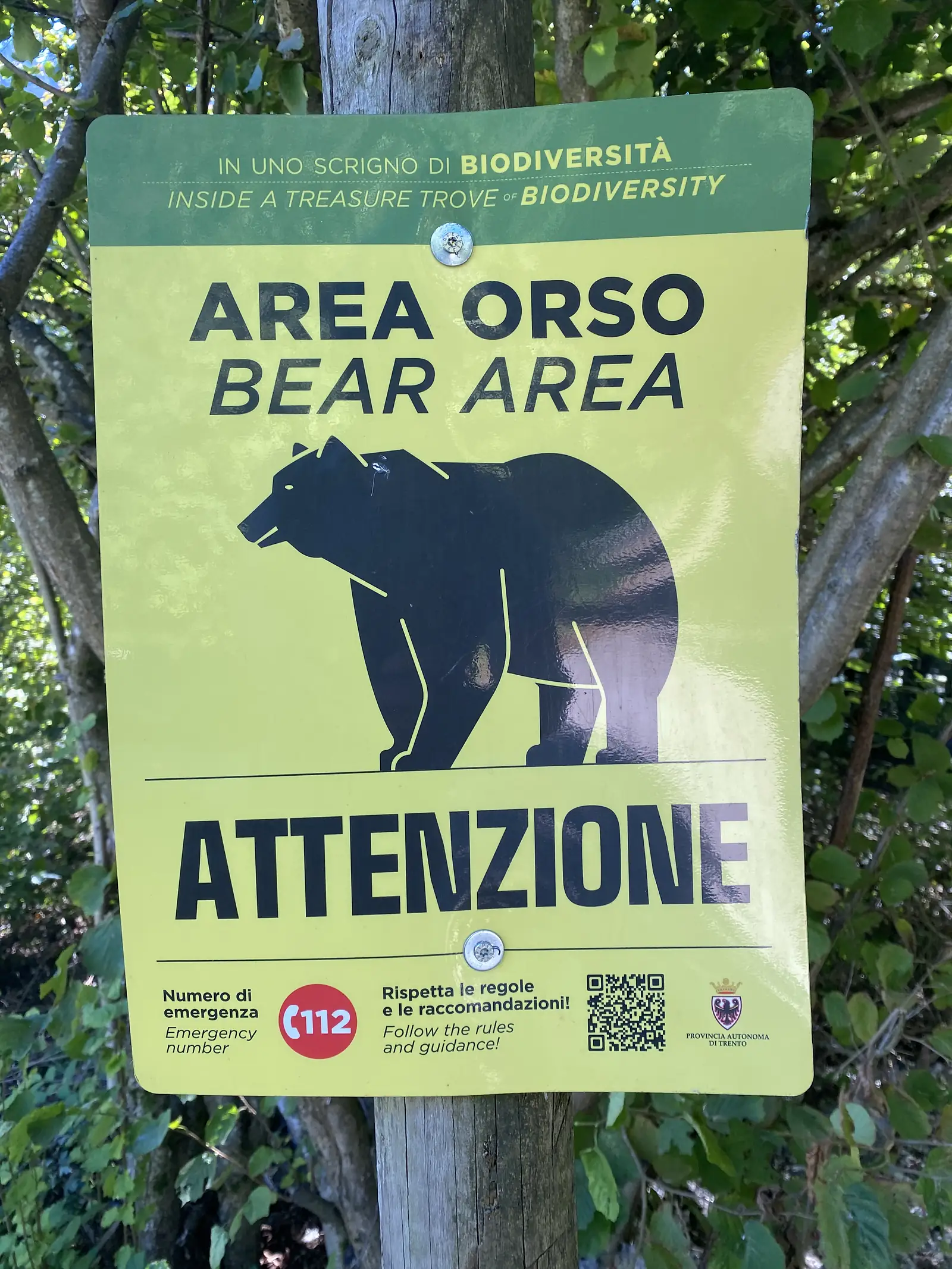 A yellow-green warning sign nailed to a tree reads "AREA ORSO / BEAR AREA" and "ATTENZIONE" above a black bear silhouette, with the emergency number 112.