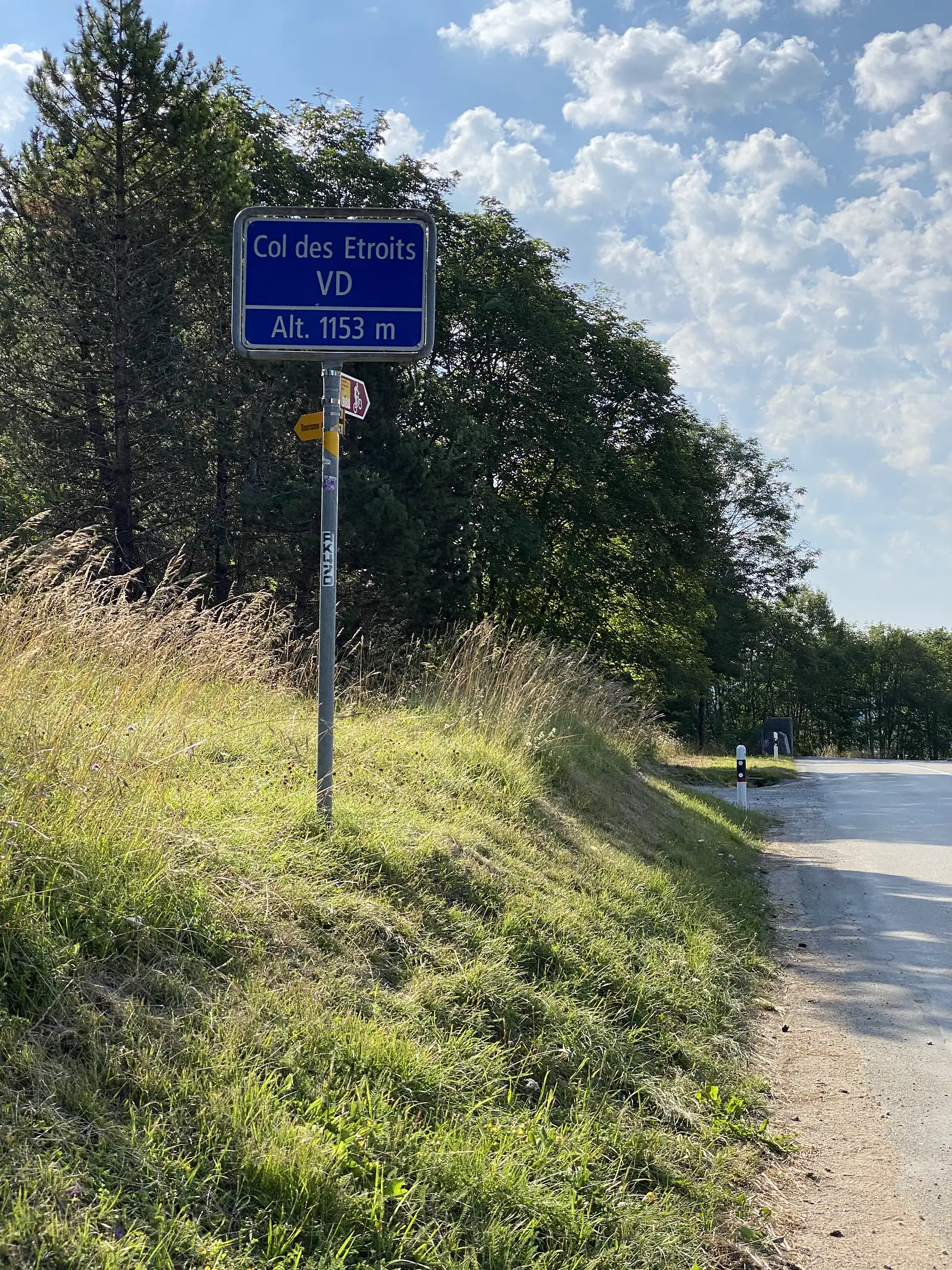A blue road sign reading 'Col des Etroits VD, Alt. 1153 m' beside a wildflower verge, marking a mountain pass in canton Vaud, Switzerland.