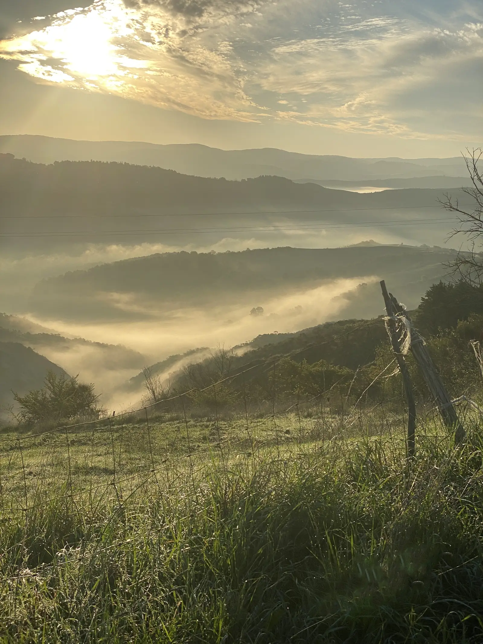 Morning mist pooling in a valley between wooded hills, seen from a dew-covered meadow behind a wire fence, with the sun breaking through cloud above.