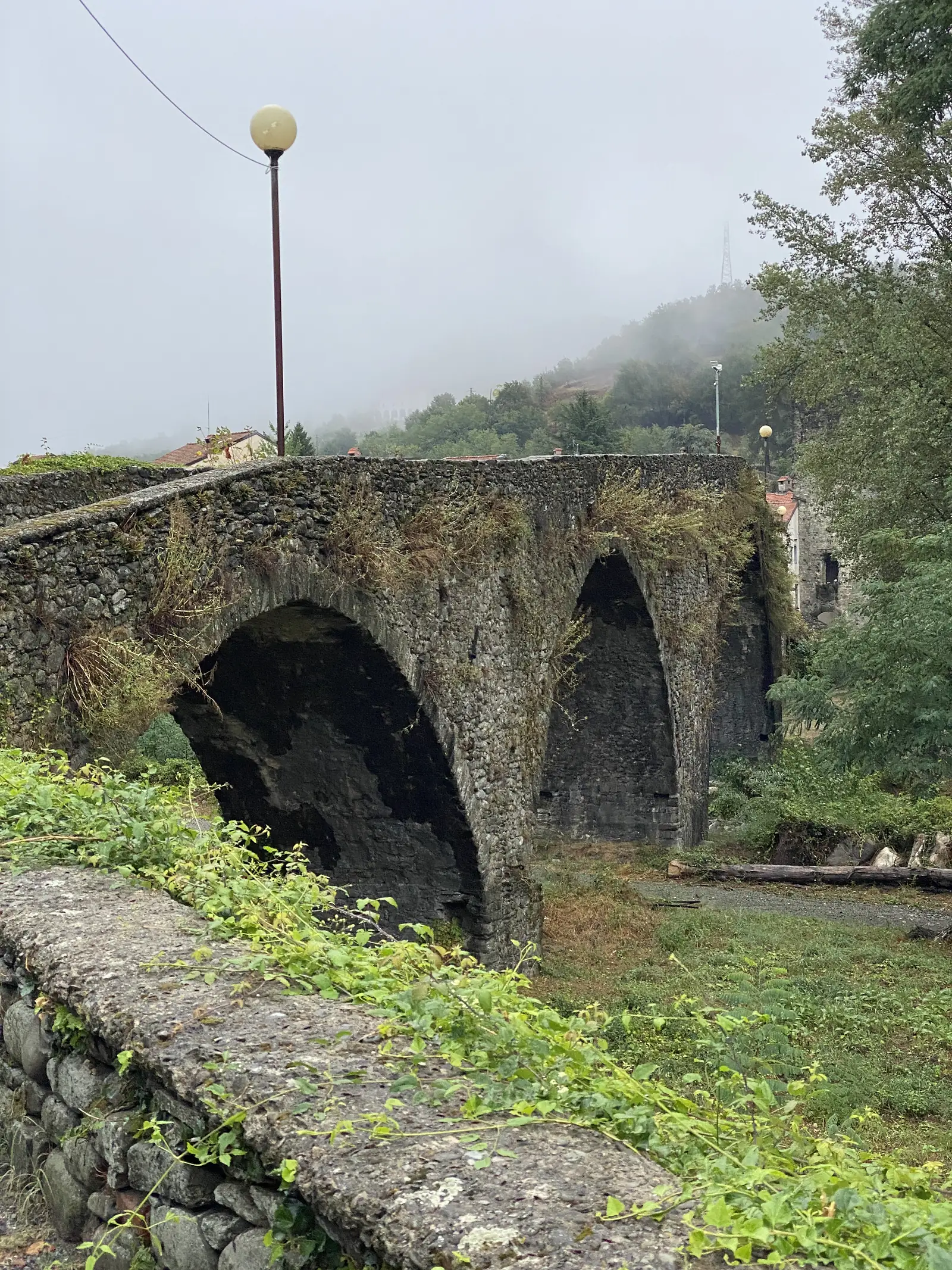 A weathered stone humpback bridge with two arches spans a misty river, overhung by trees in the early morning light.