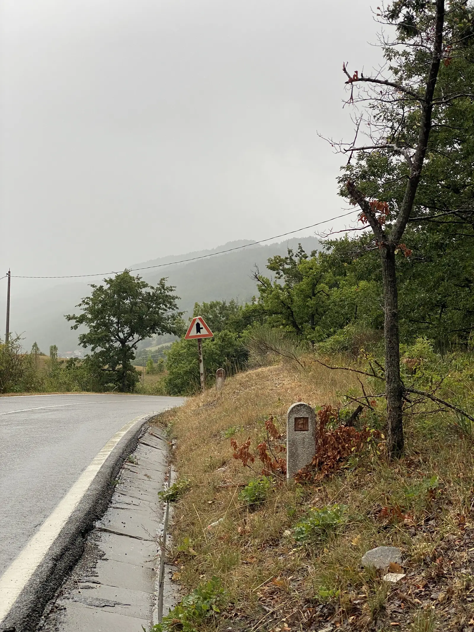 A stone waymark post and a triangular road sign warning of a side turning stand beside a rain-slicked lane curving into forest.