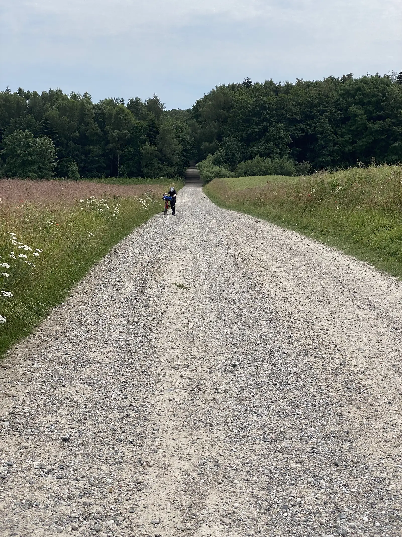 A broad gravel track running towards woods between a hay meadow and grass verges, with a rider stopped at the roadside in the distance.