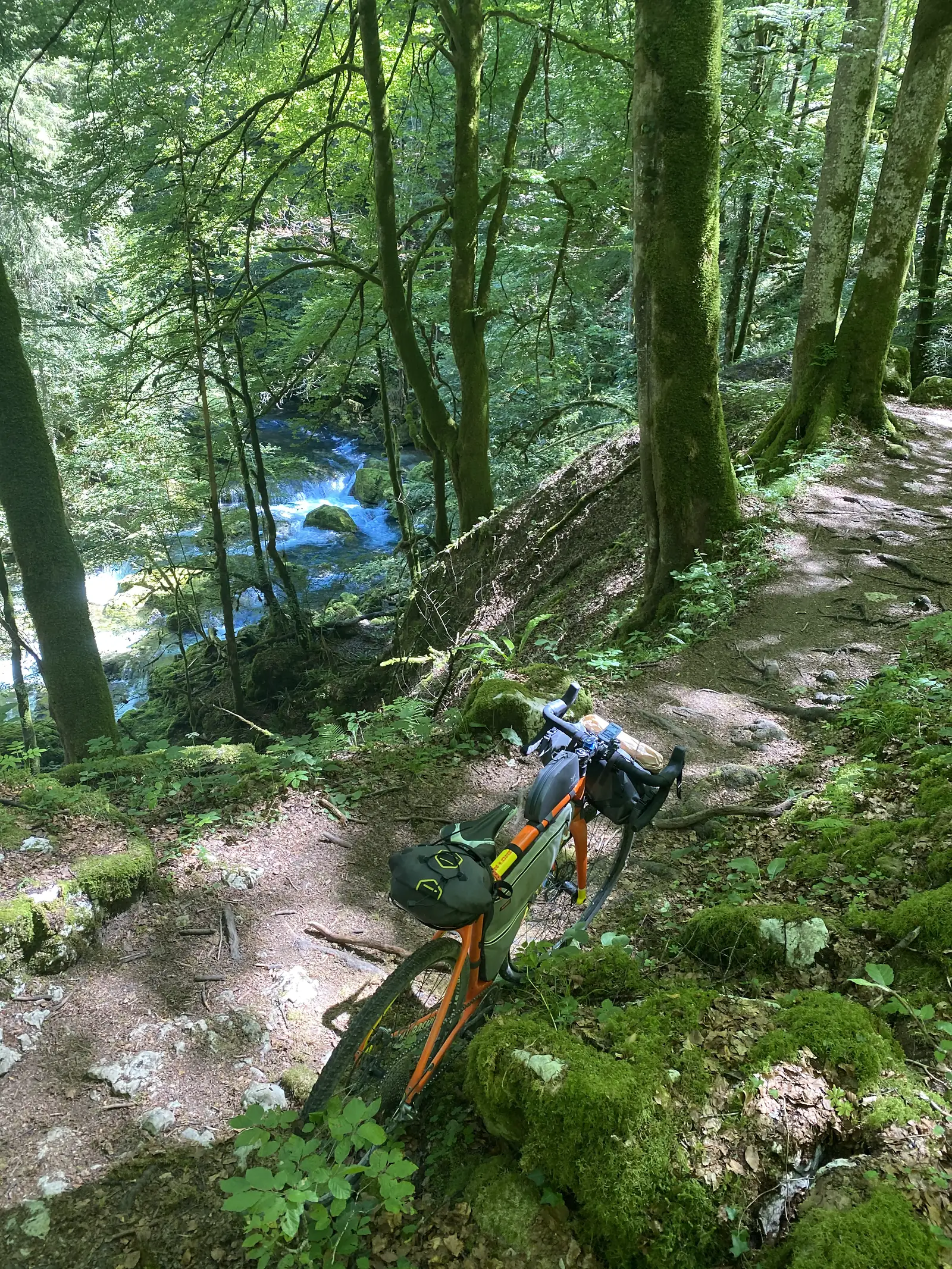 A loaded bike leans against a mossy tree beside a narrow gorge-side path, a yellow waymark arrow fixed to the trunk above.
