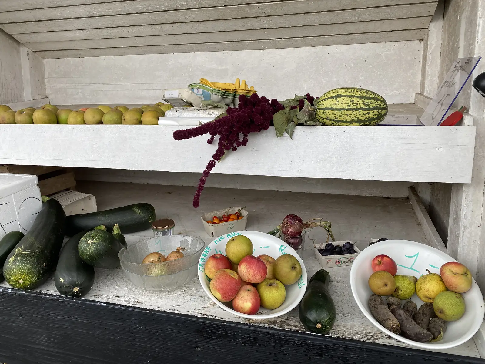 An unstaffed roadside honesty stall of apples, pears, courgettes, squashes, onions, plums and eggs on whitewashed shelves with hand-written prices.