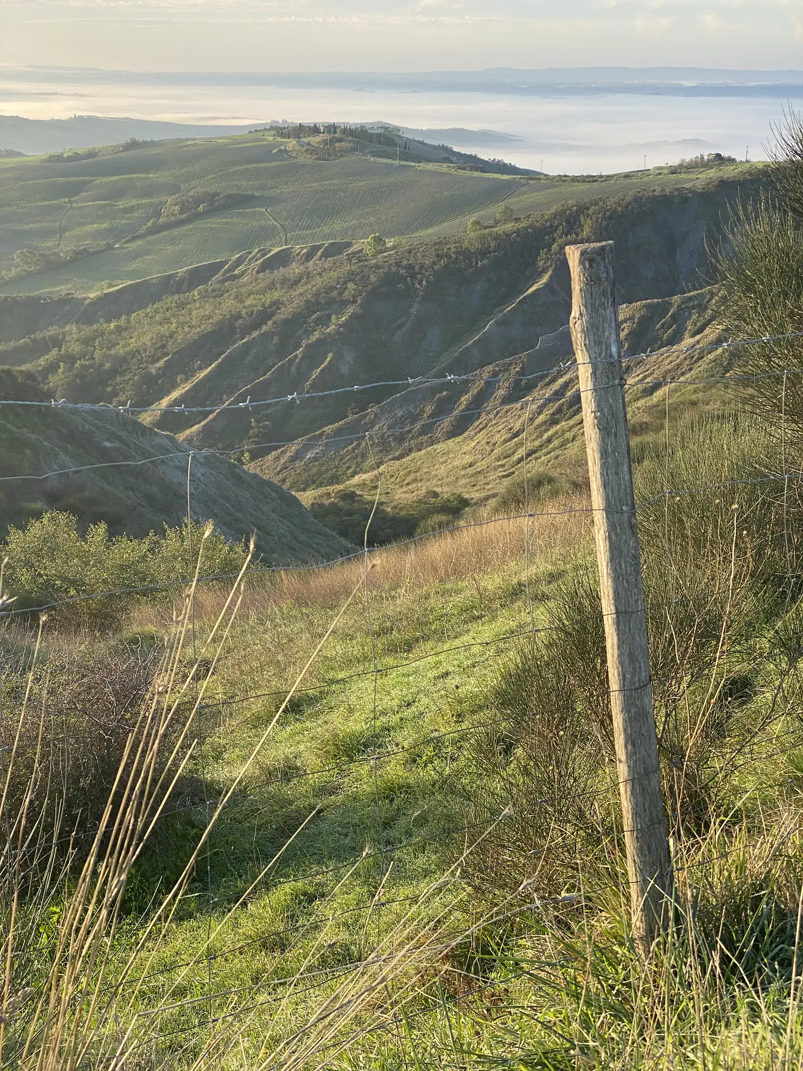 A dirt path running alongside a wire fence across open, undulating hillside grassland in early morning light.