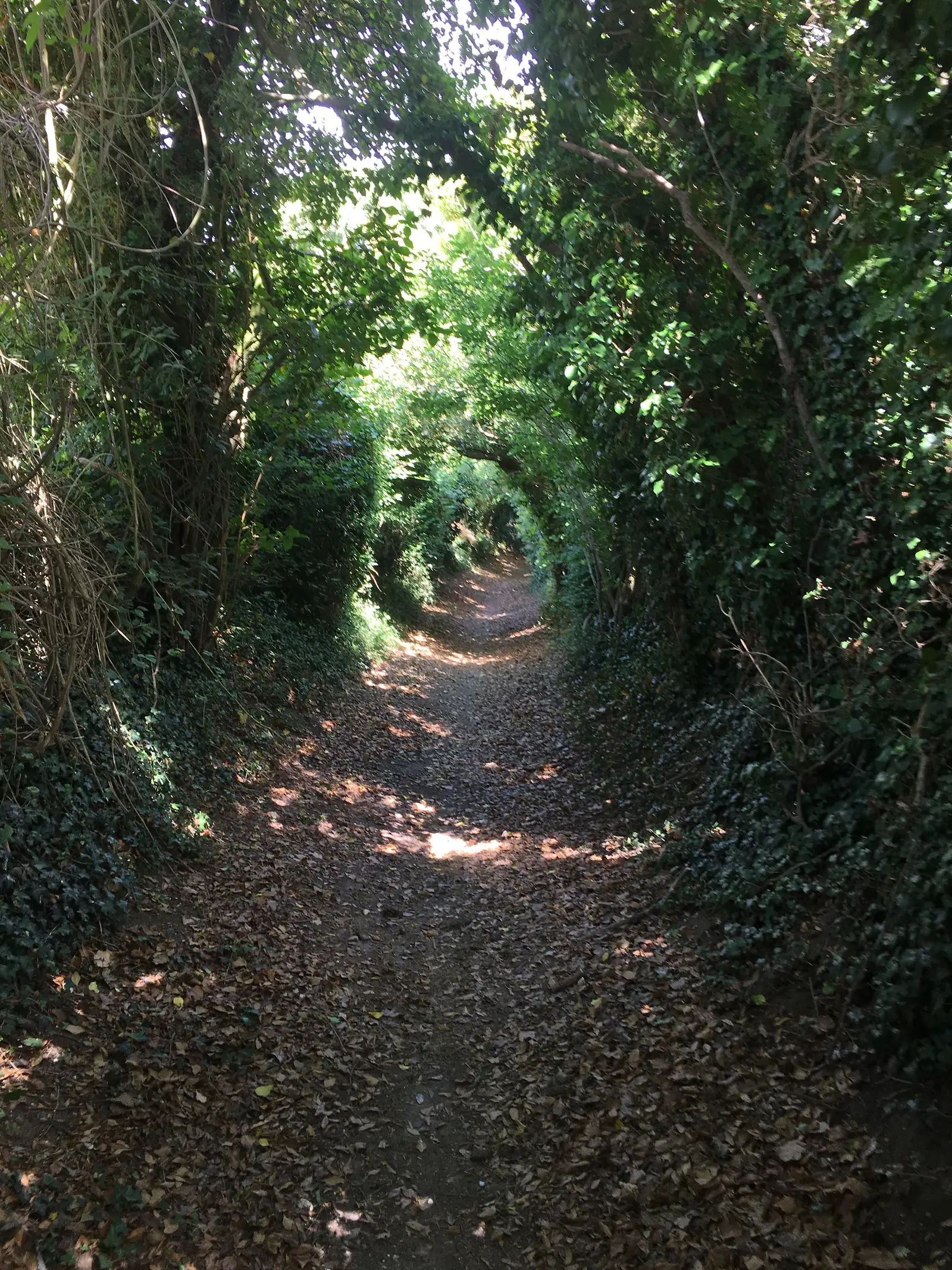 Sunken off road road