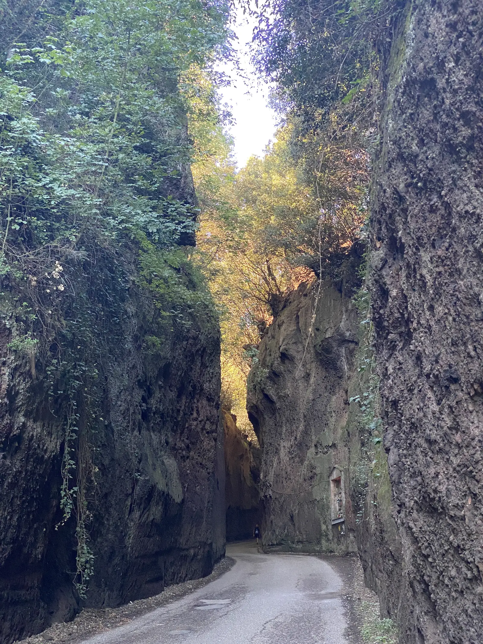 A deep sunken lane cut through soft rock, ivy trailing down the walls and a small road sign fixed part way up, evening light glowing through overhanging trees ahead.