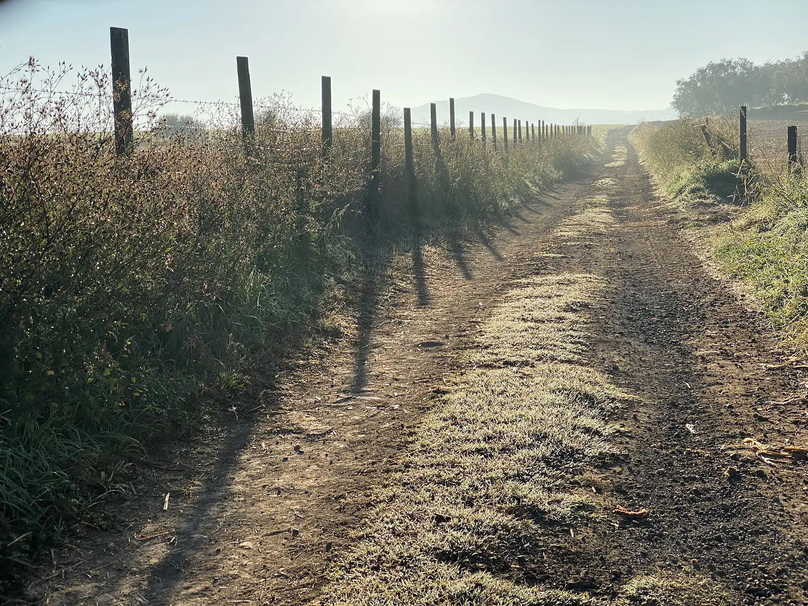 A grassy farm track running between fence posts casting long shadows, a hazy hill on the horizon.