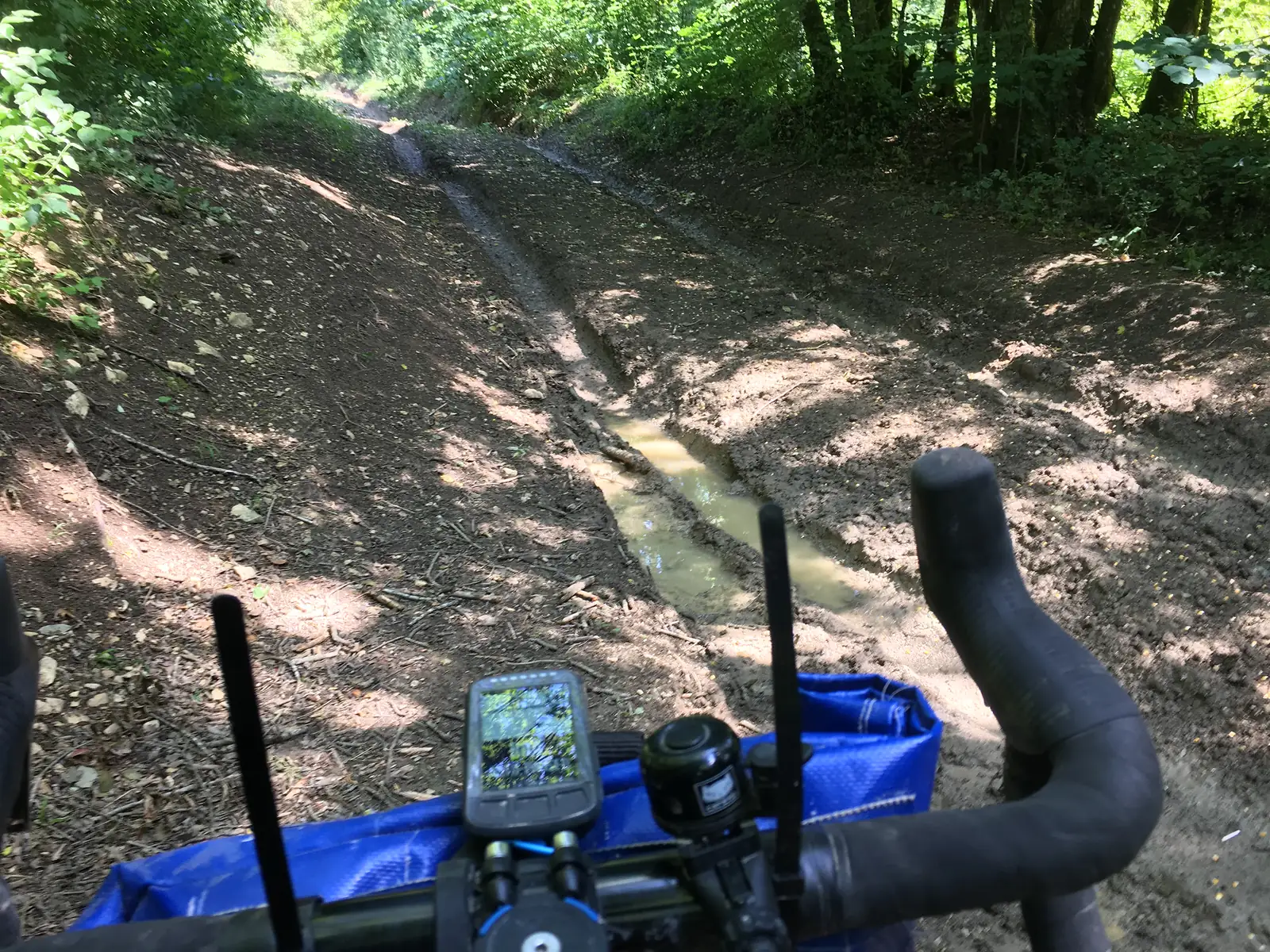 A muddy sunken track cuts through woodland, with a shallow puddle pooling in the eroded ruts ahead.