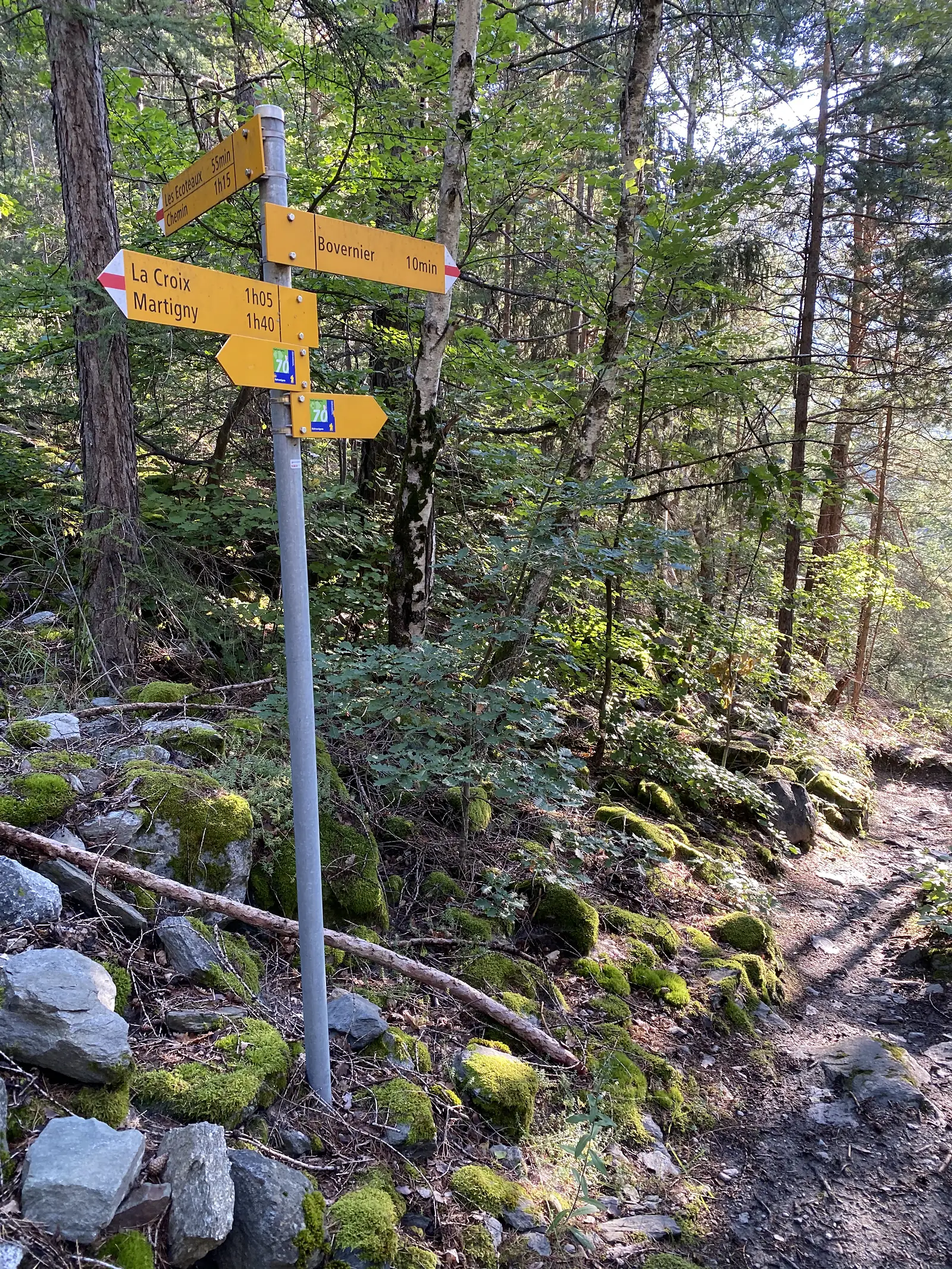 A wooden trail signpost in a forest clearing giving walking times to La Croix, Martigny, Bovernier and Les Ecoteaux, alongside two Via Francigena route markers.