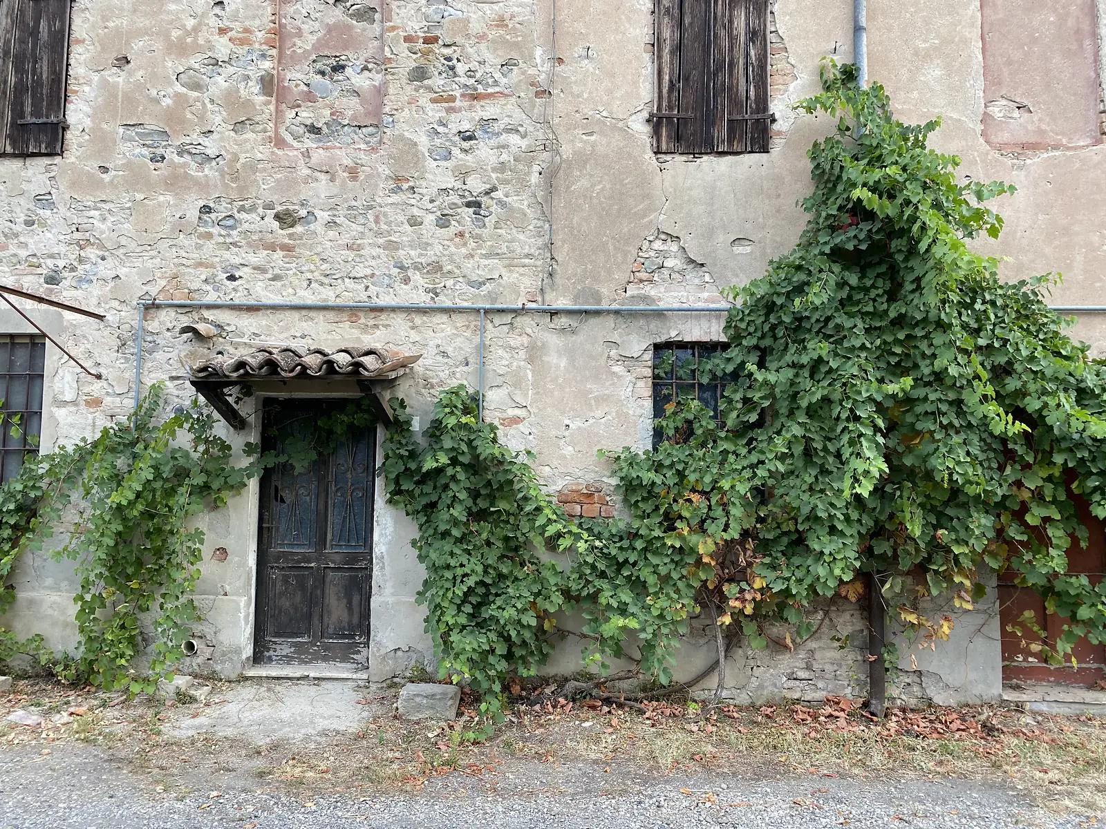 A weathered stone and brick farmhouse wall with shuttered windows and an old dark wooden door beneath a tiled awning, framed by climbing vines.