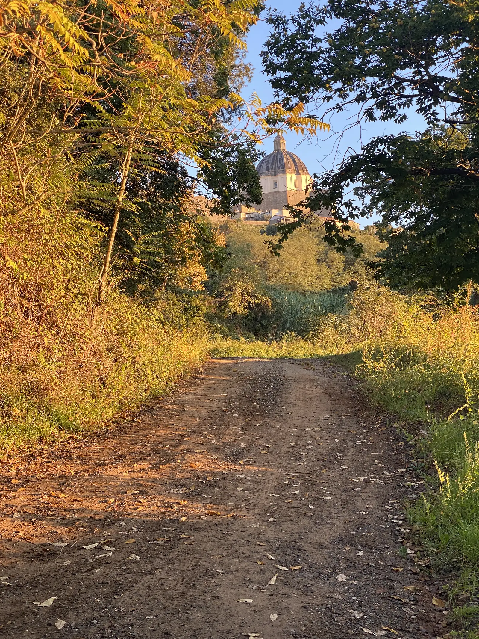 A dirt path cutting through overgrown scrubland in late afternoon light, a domed building visible through the trees in the distance.