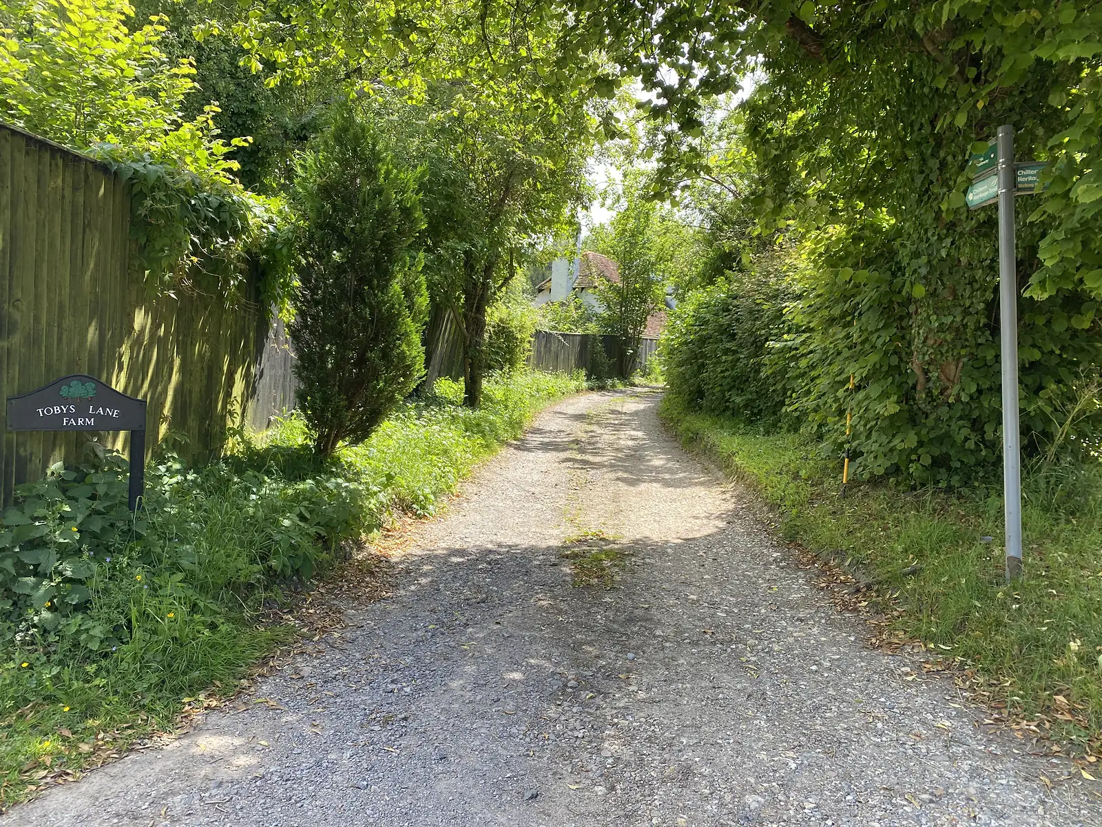 A gravel farm lane running between hedges past a sign lettered "TOBYS LANE FARM", with a green fingerpost at the roadside.