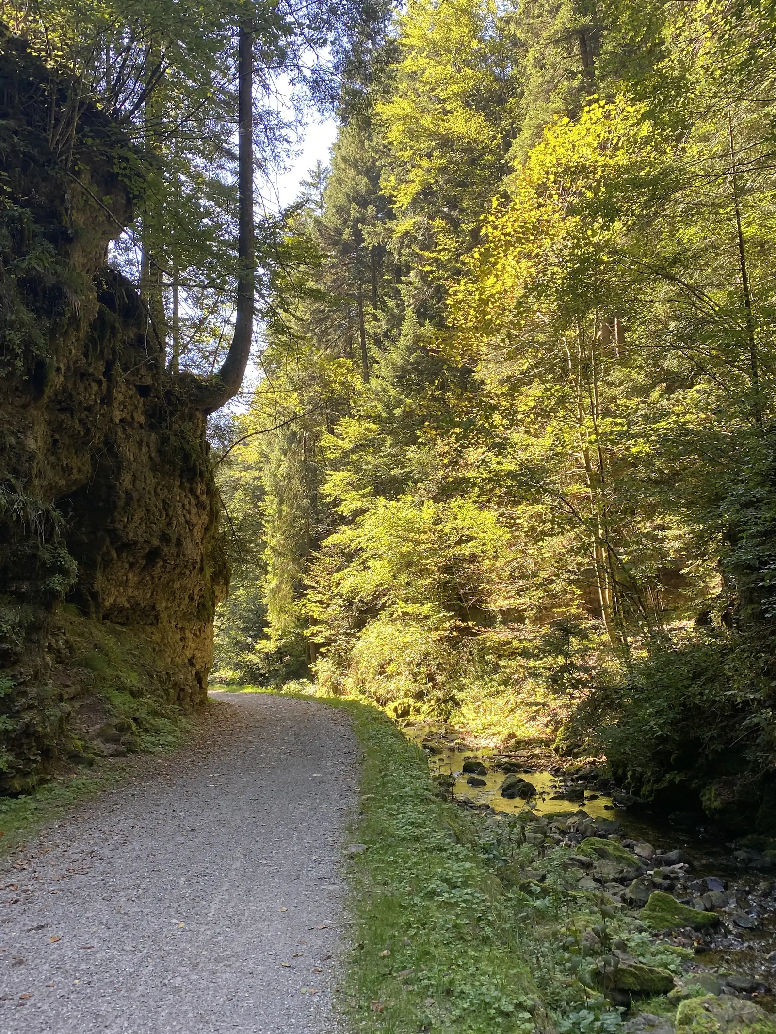 A gravel track threads between an overhanging mossy rock face and a shallow boulder-strewn stream in a sunlit wooded gorge.
