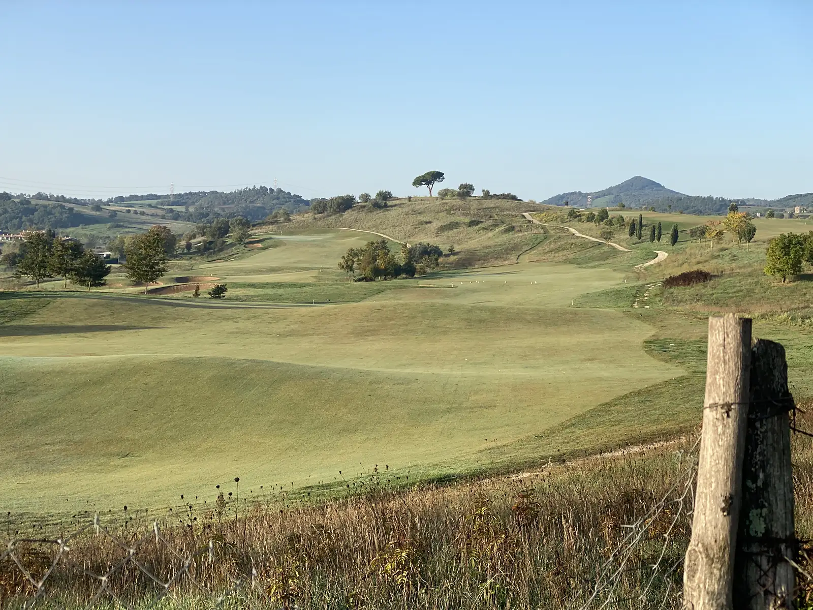 Rolling manicured fairways of a golf course viewed from a fence line, with a solitary stone pine crowning a distant grassy hill.