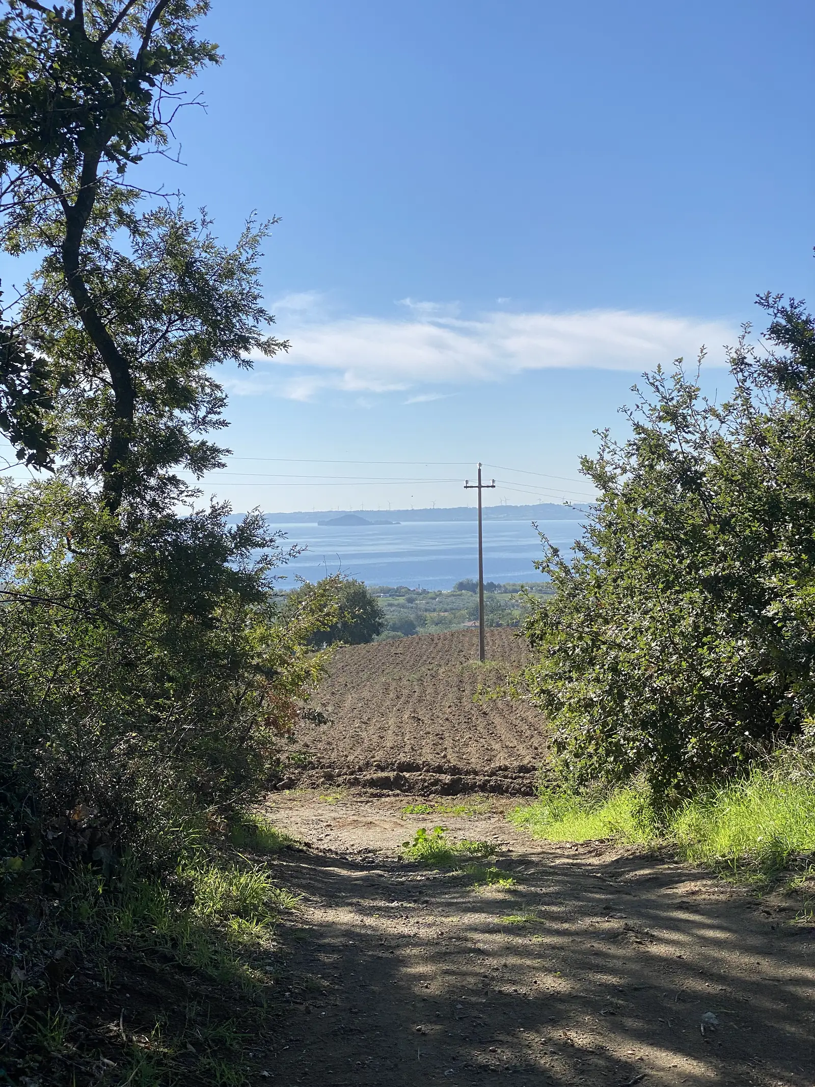 A tree-shaded dirt track opens onto a bare ploughed field with rolling hills on the horizon.