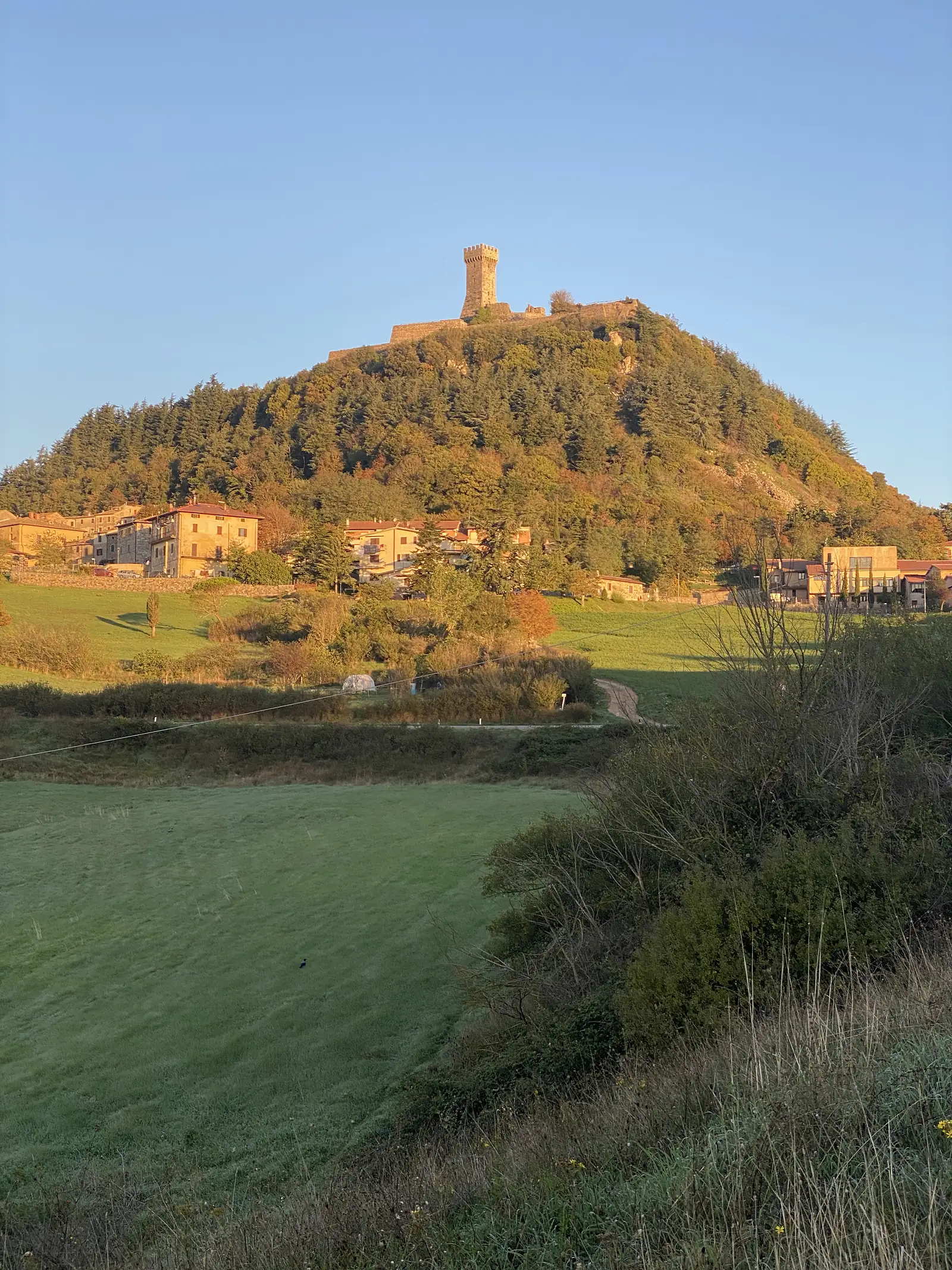 A crenellated stone tower rising above a hilltop village and wooded slopes, lit by warm evening light with a green field in the foreground.