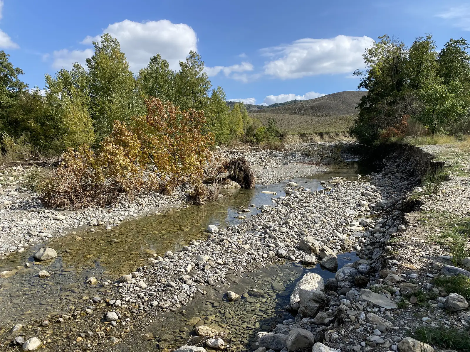 A shallow river winding through a wide bed of pale stones, with autumn-tinted shrubs on the bank and bare hills in the distance.